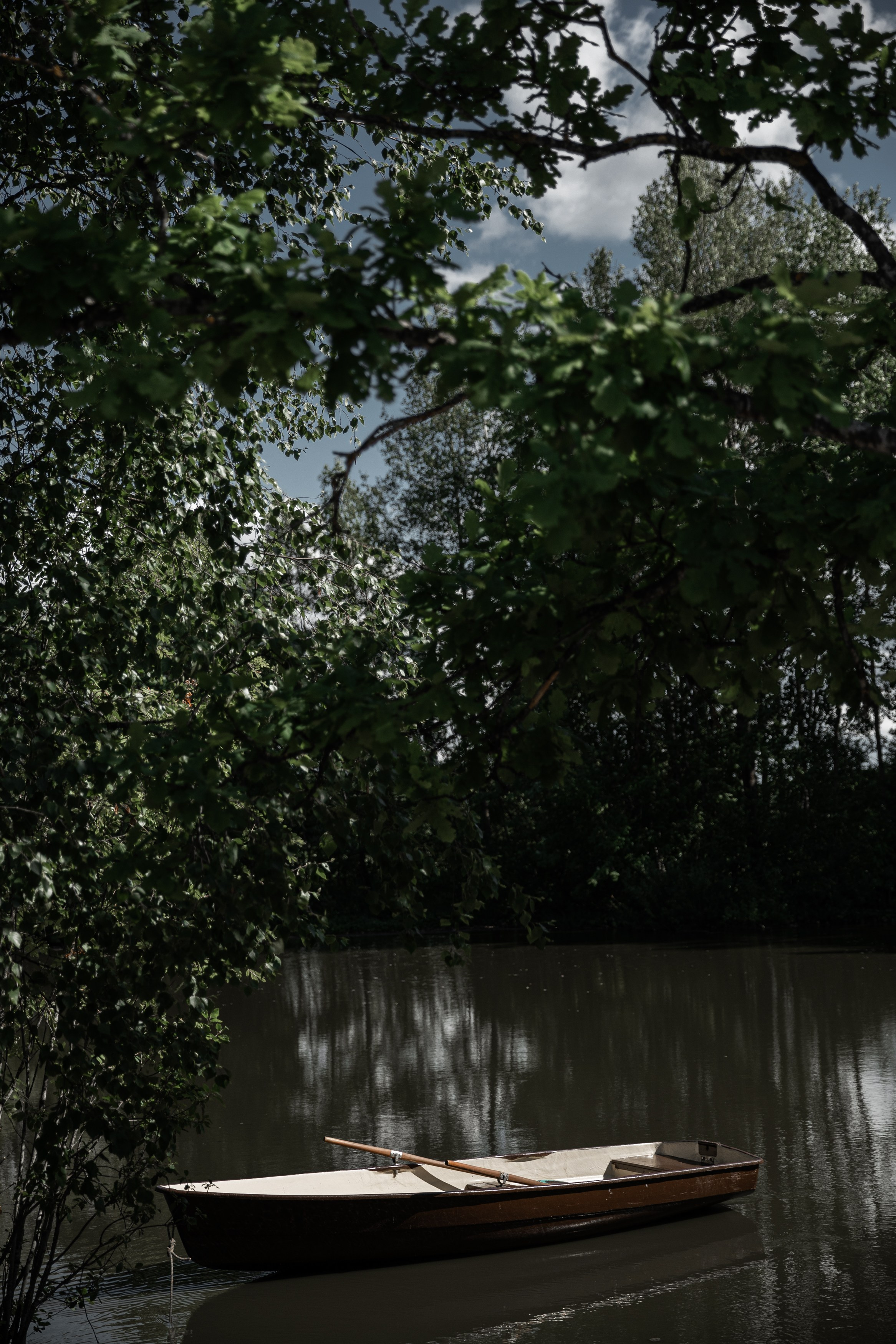 Чин & Вики. Свадебный фотограф в Минске в Москве в РБ Анатолий Полишко