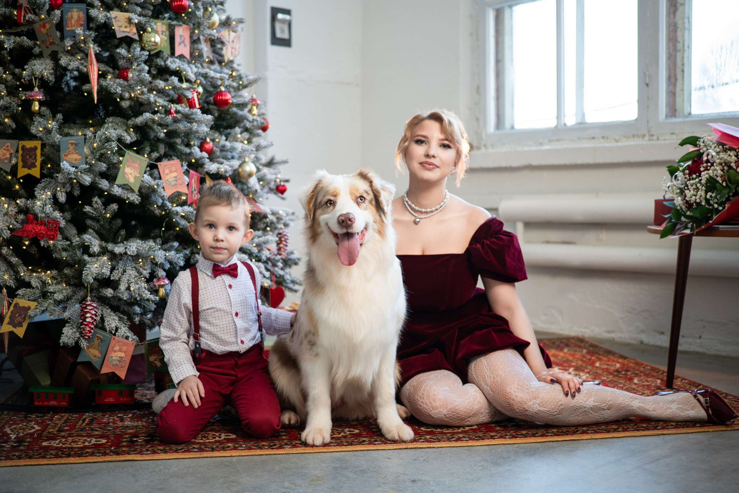 Фотодень с Австралийской овчаркой. Творческий фотограф Вологда