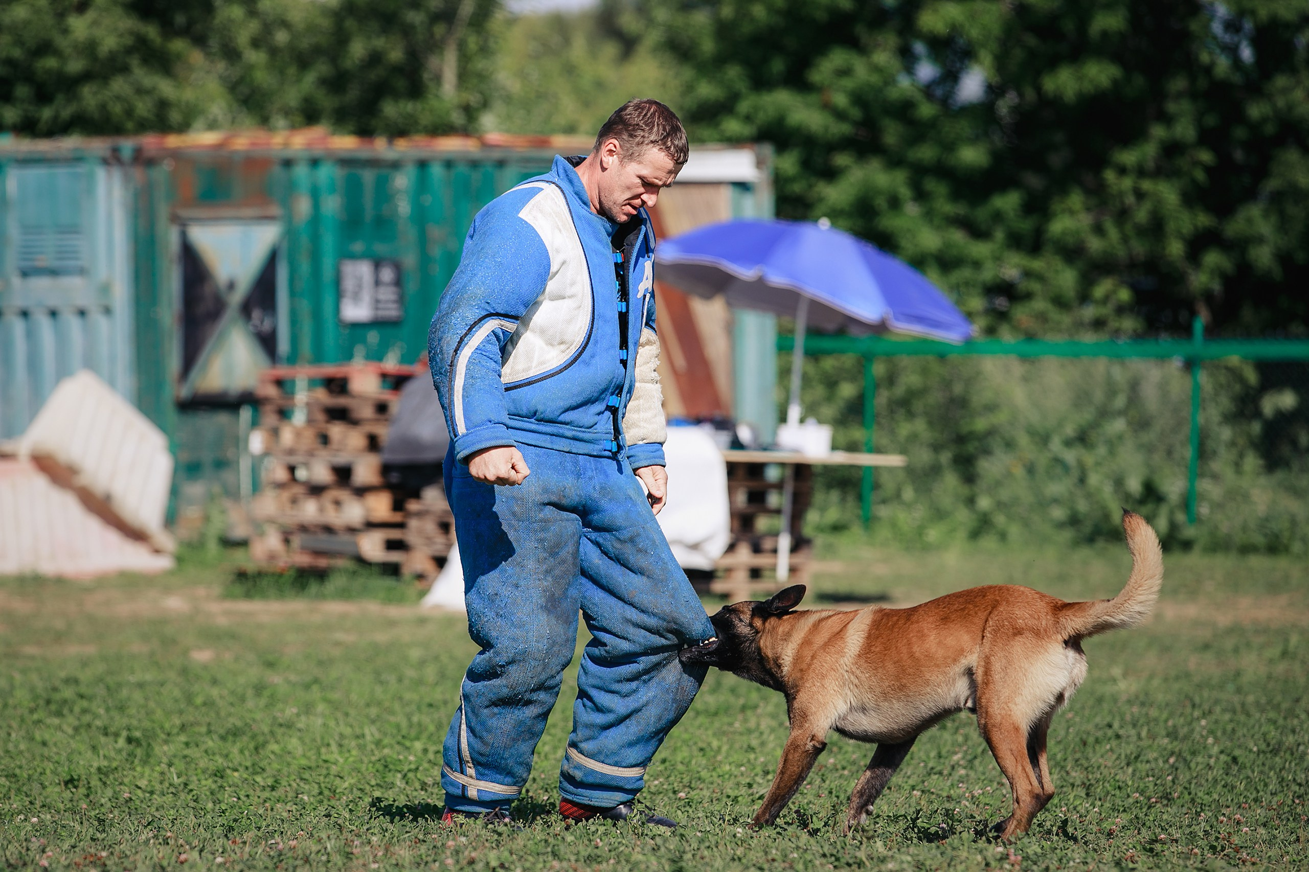 Мондьоринг М1, М2, М3, Вологда. Фотограф-анималист Mary Mart — Москва, Питер