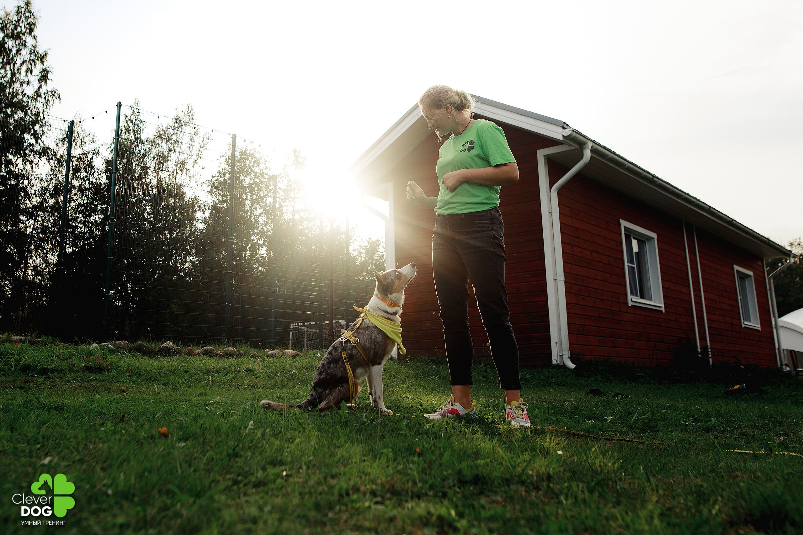 Кинологический лагерь CleverDog, 2024. Фотограф-анималист Mary Mart — Москва, Питер