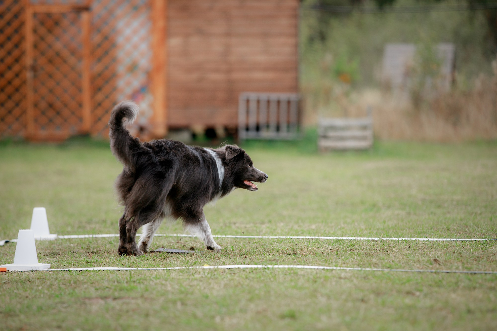 Лагерь по ОБД с Инной Баженовой. Фотограф-анималист Mary Mart — Москва, Питер