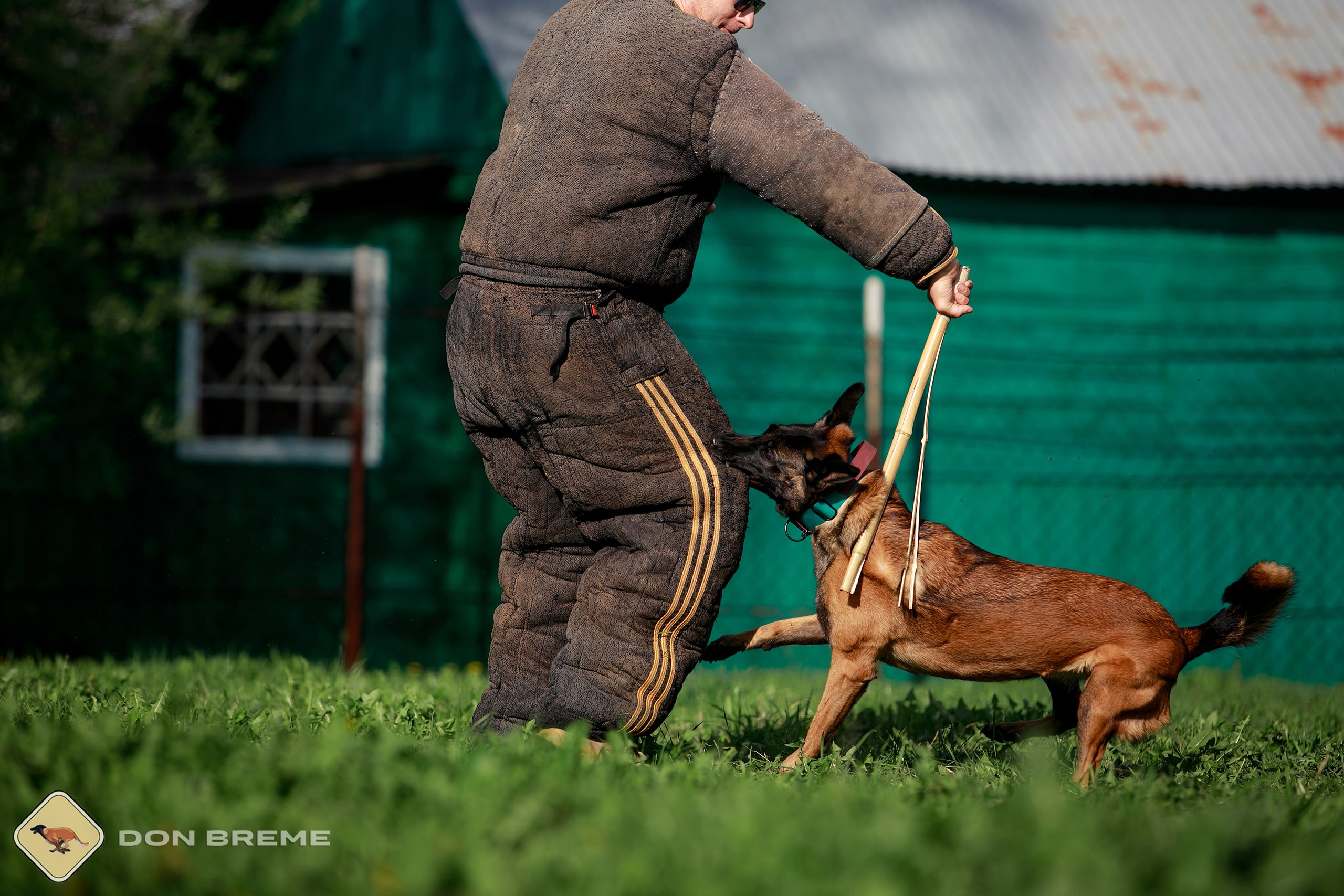 Семинар для фигурантов, день 2. Фотограф-анималист Mary Mart — Москва, Питер