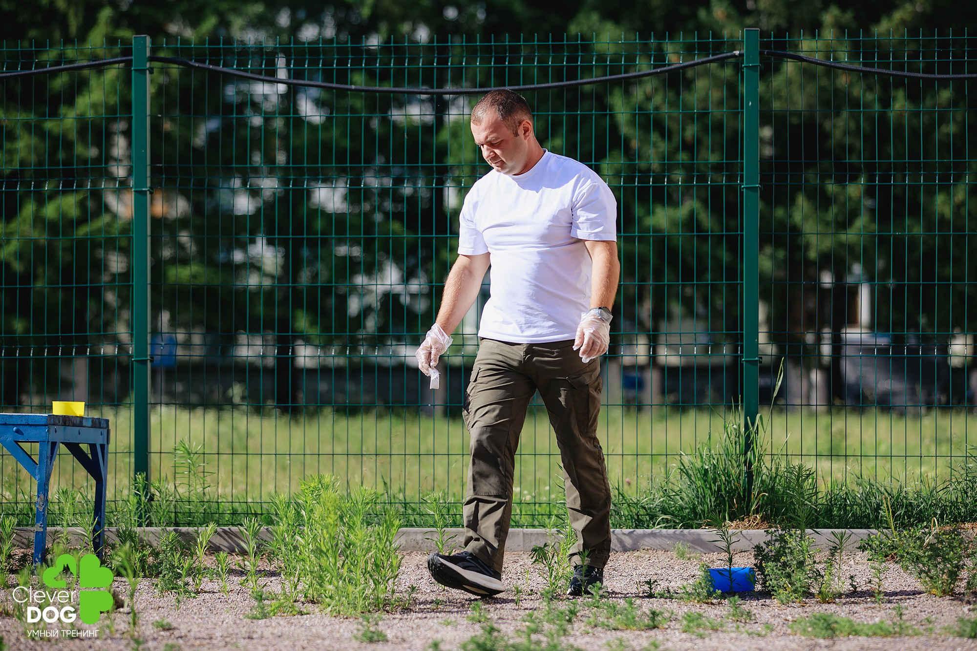 Семинар по поиску запаха с Иваном Ломовым, организатор CleverDog, СПб. Фотограф-анималист Mary Mart — Москва, Питер