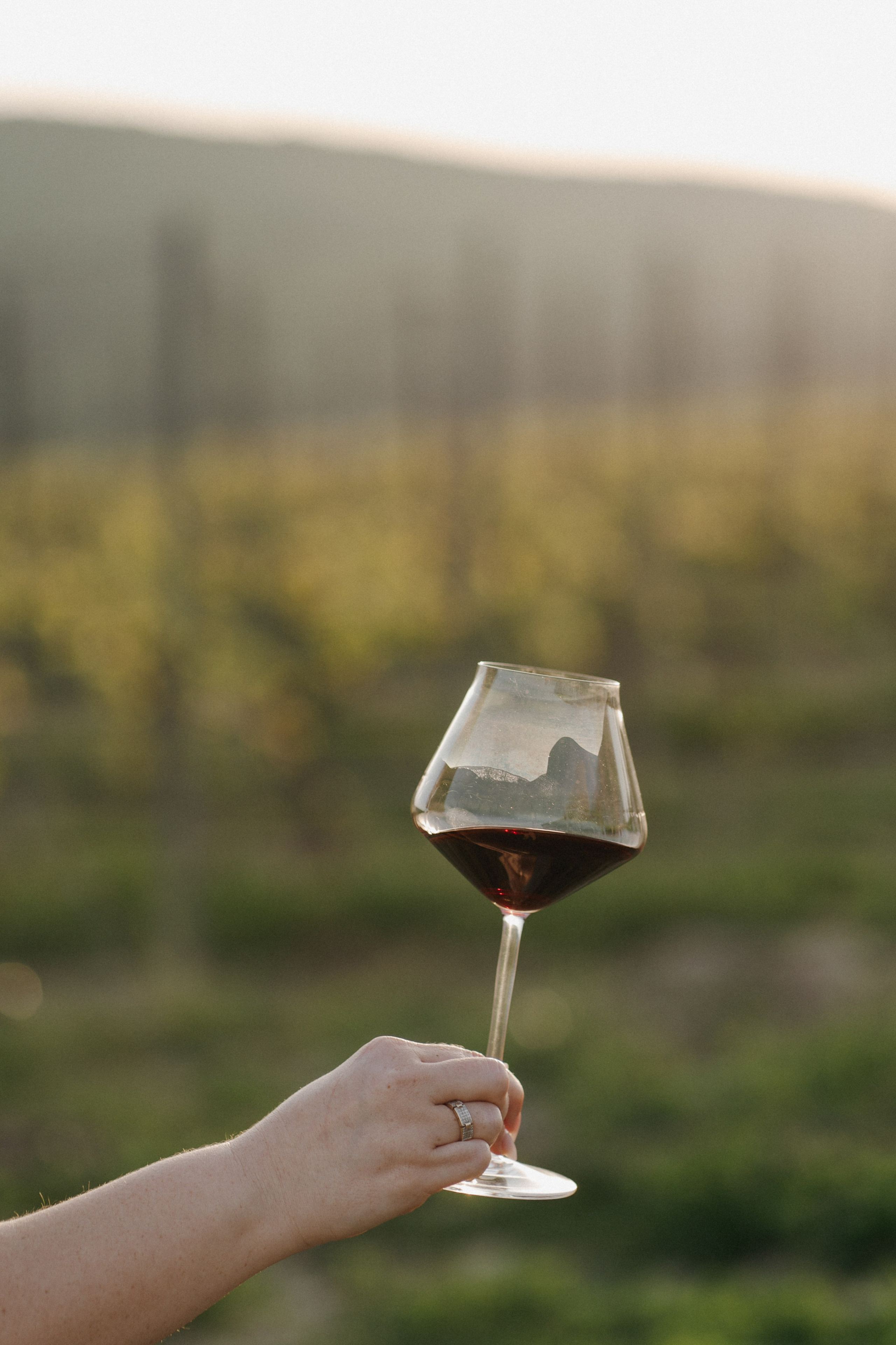 Скалистый берег 2024. Свадебный фотограф в Краснодаре и Сочи Винидиктова Екатерина