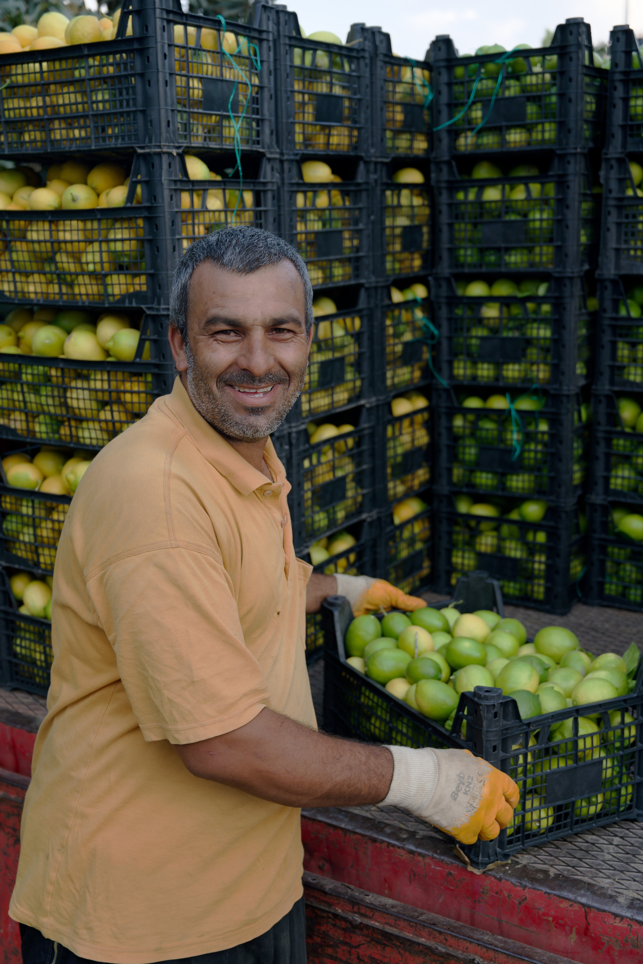 Agriculture — orange pickers. Photo & Video production, in Bishkek, Kyrgyzstan