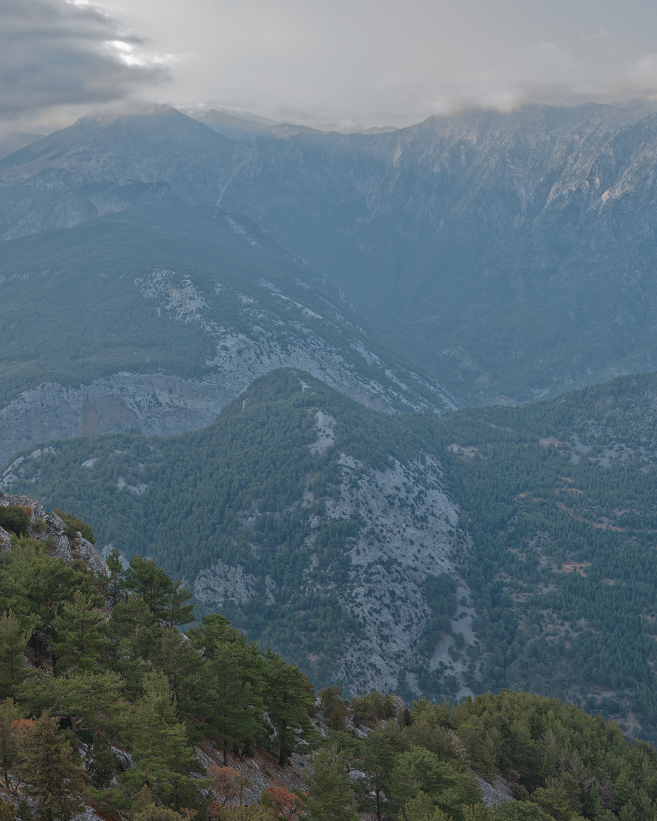 Alina designer. Photo & Video production, in Bishkek, Kyrgyzstan