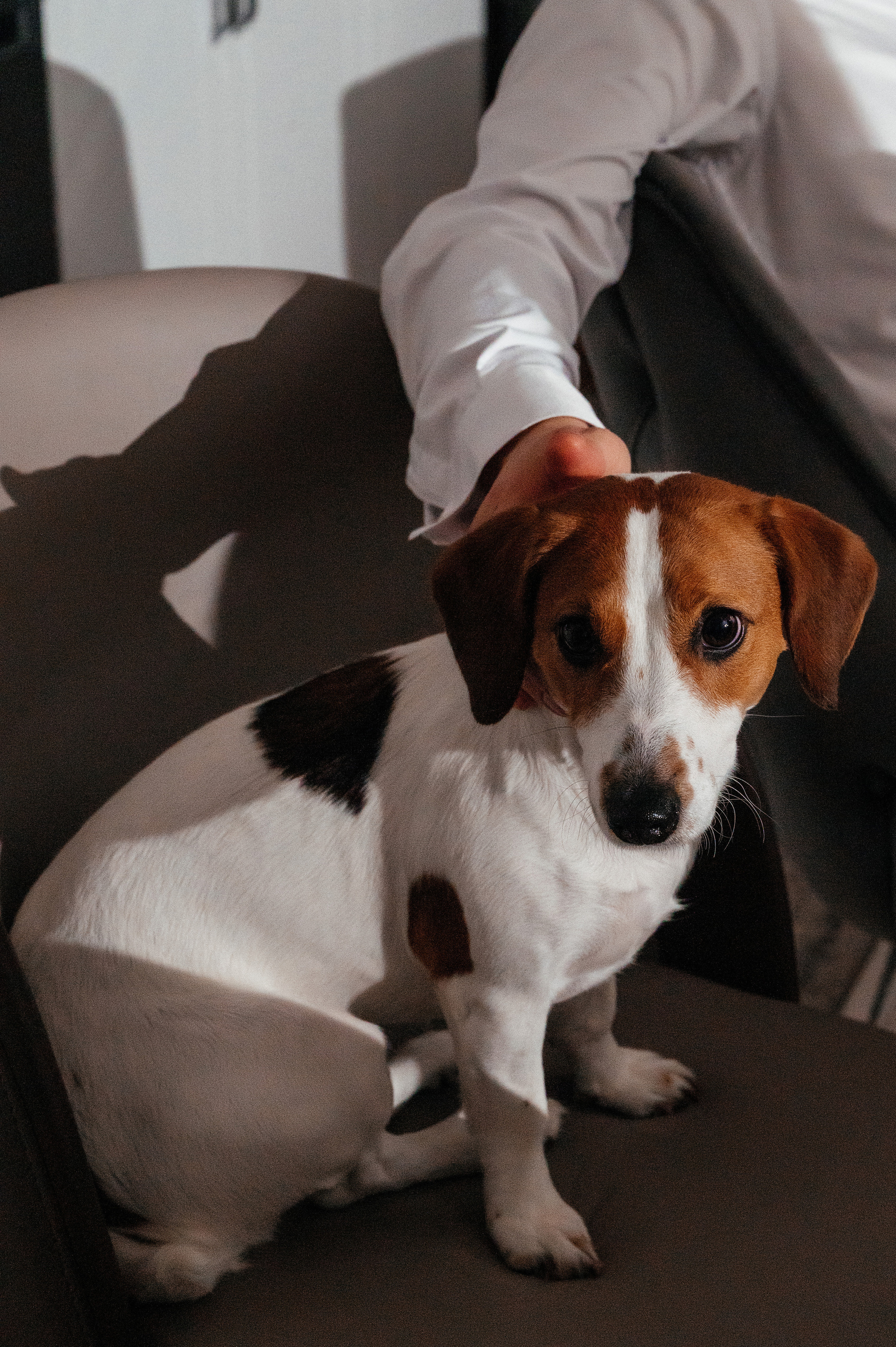 Birthday party. Photo & Video production, in Bishkek, Kyrgyzstan