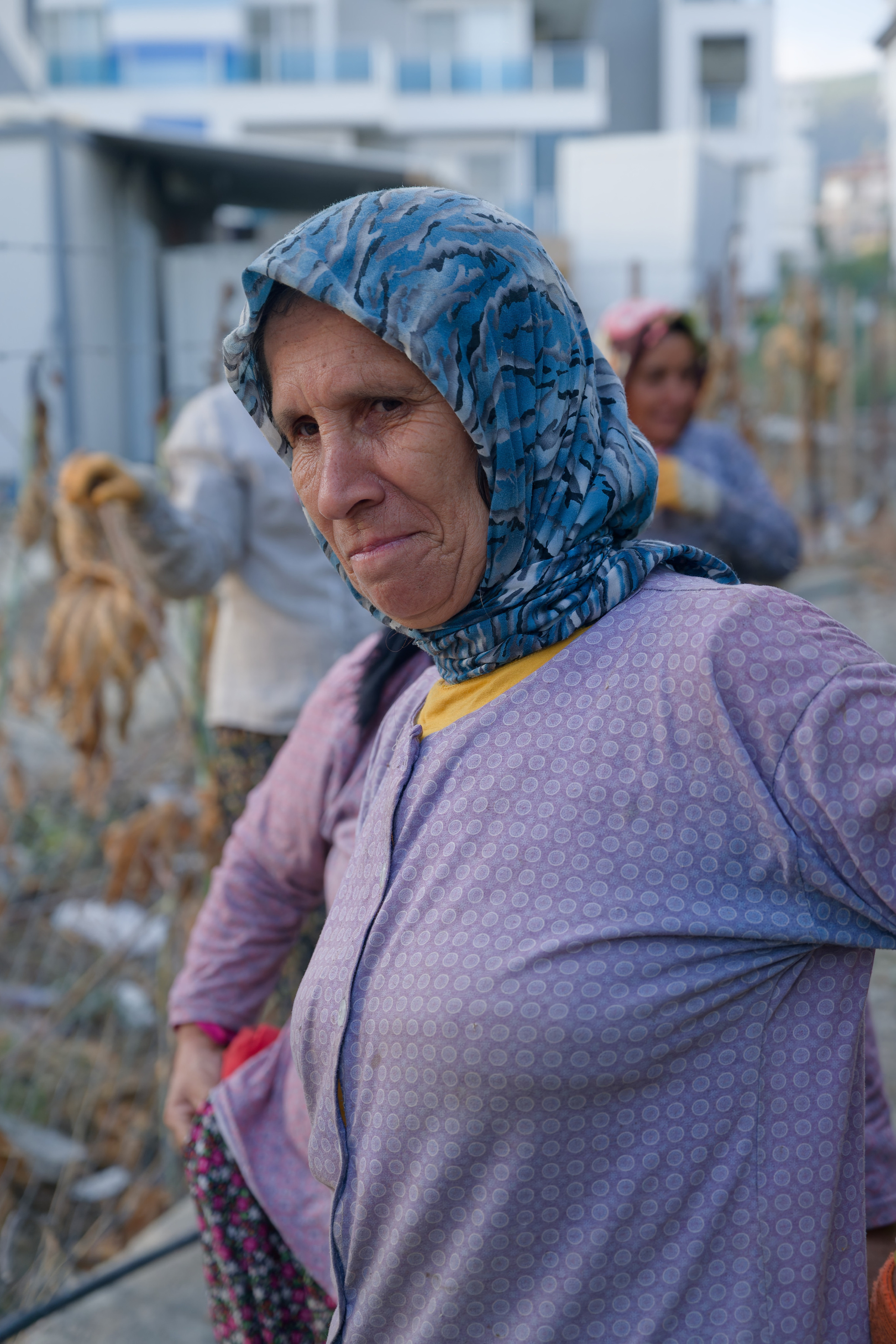 Agriculture — orange pickers. Photo & Video production, in Bishkek, Kyrgyzstan