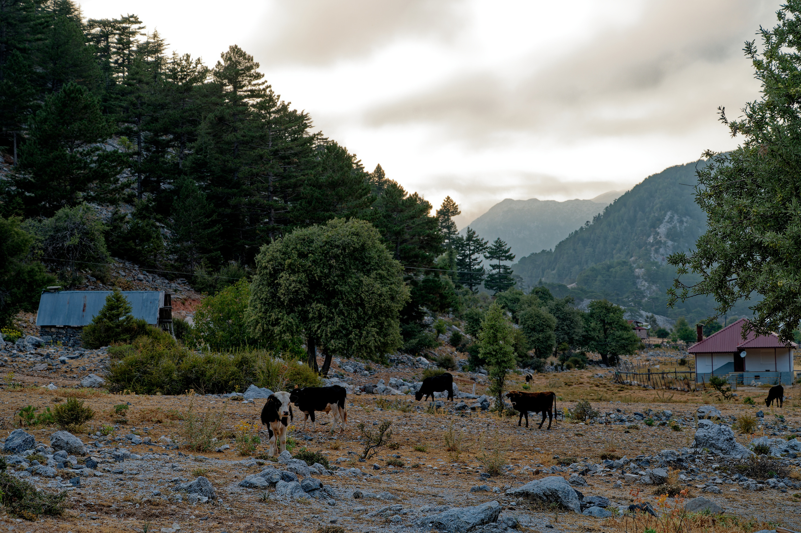 Alina designer. Photo & Video production, in Bishkek, Kyrgyzstan