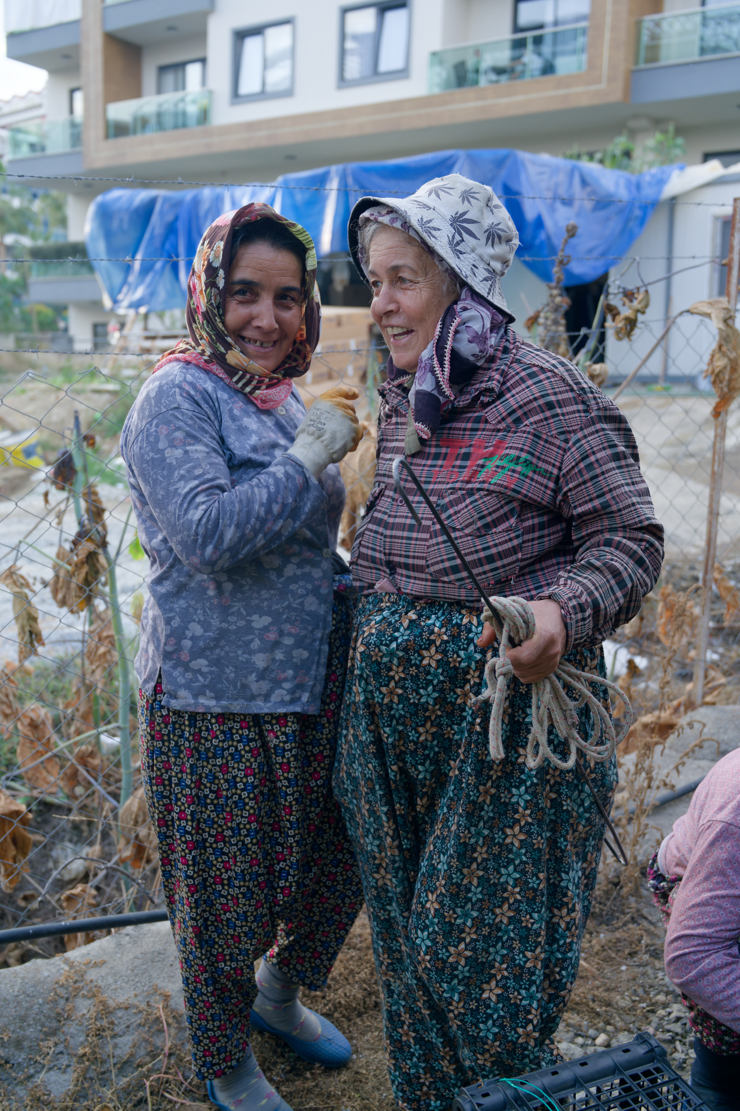 Agriculture — orange pickers. Photo & Video production, in Bishkek, Kyrgyzstan