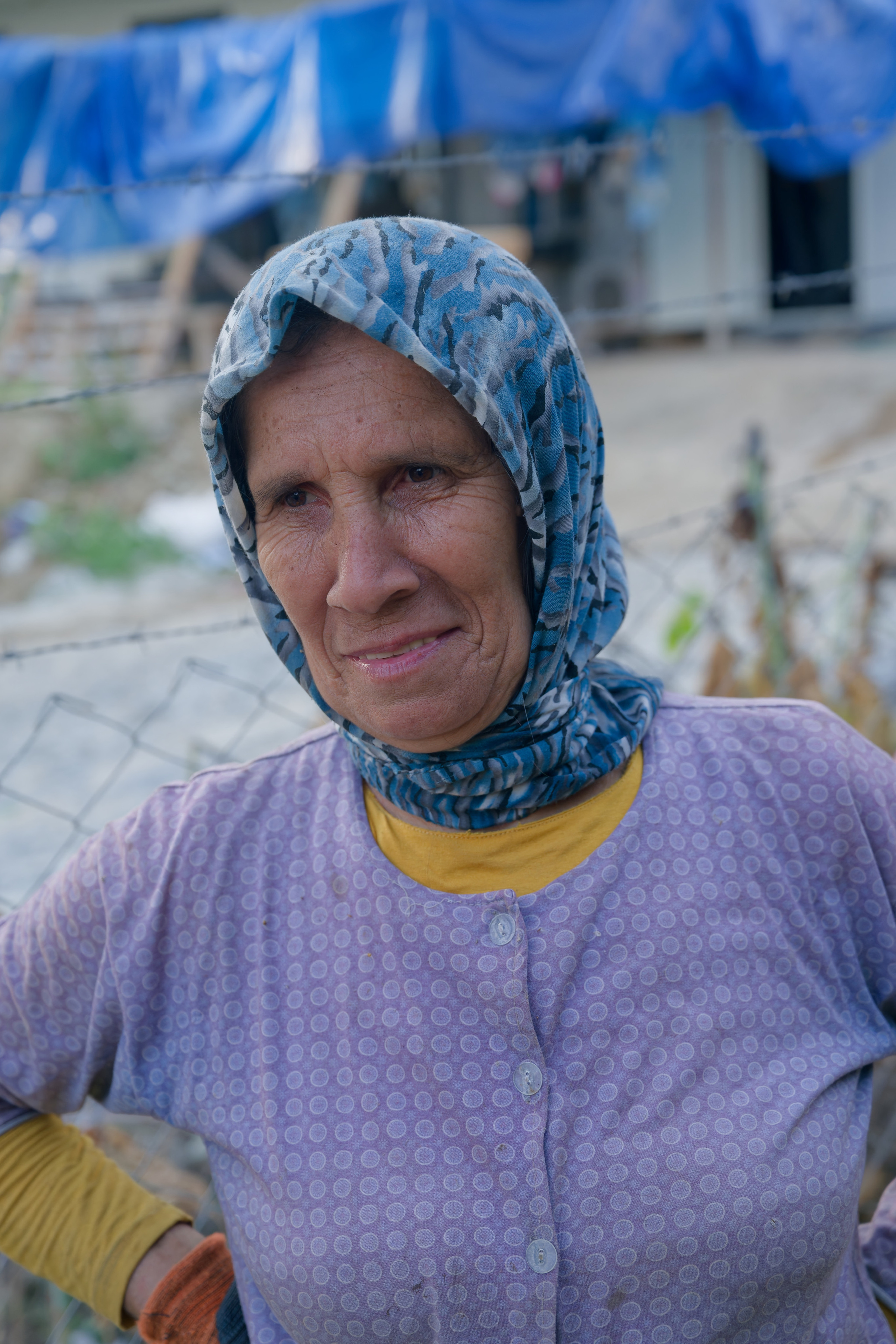Agriculture — orange pickers. Photo & Video production, in Bishkek, Kyrgyzstan