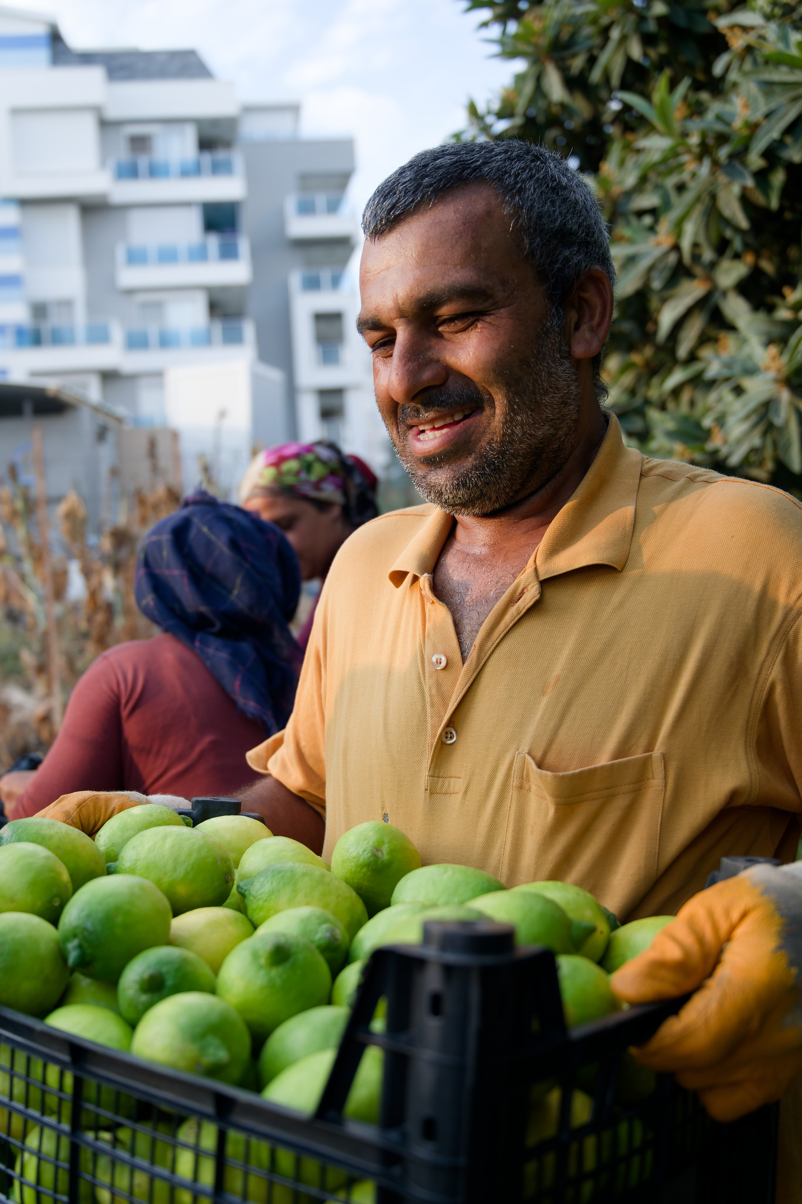 Agriculture — orange pickers. Photo & Video production, in Bishkek, Kyrgyzstan