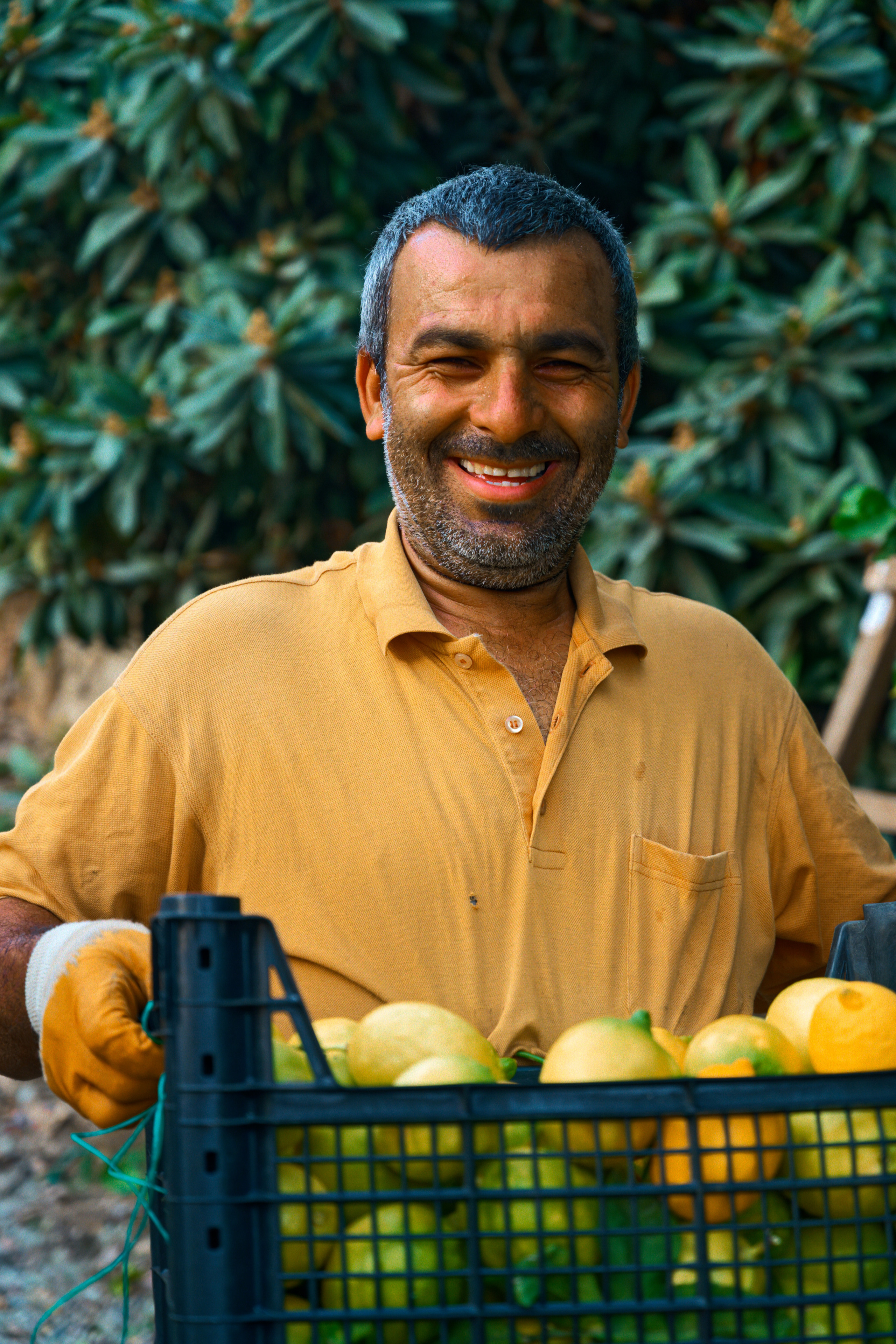 Agriculture — orange pickers. Photo & Video production, in Bishkek, Kyrgyzstan