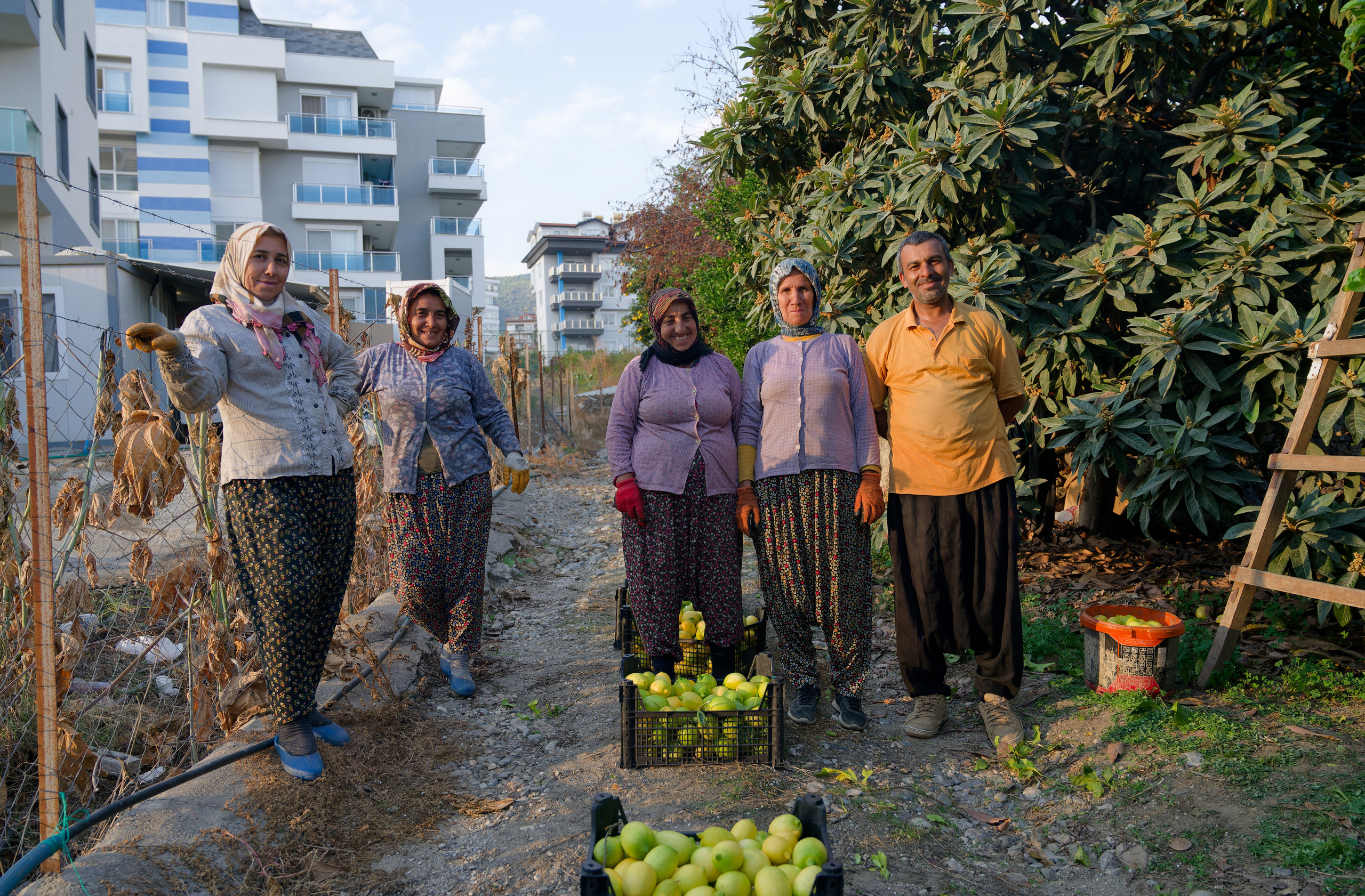 Agriculture — orange pickers. Photo & Video production, in Bishkek, Kyrgyzstan