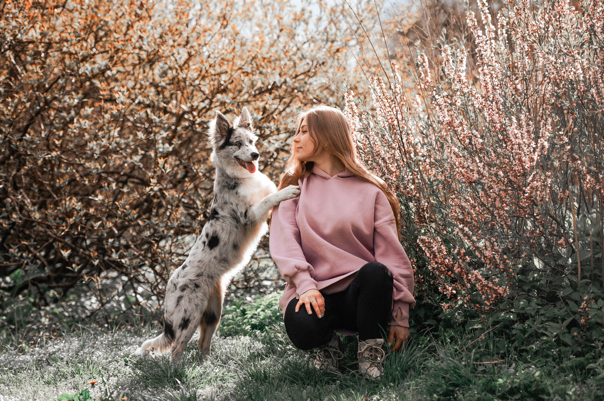 Весна на ВДНХ. Фотограф-анималист