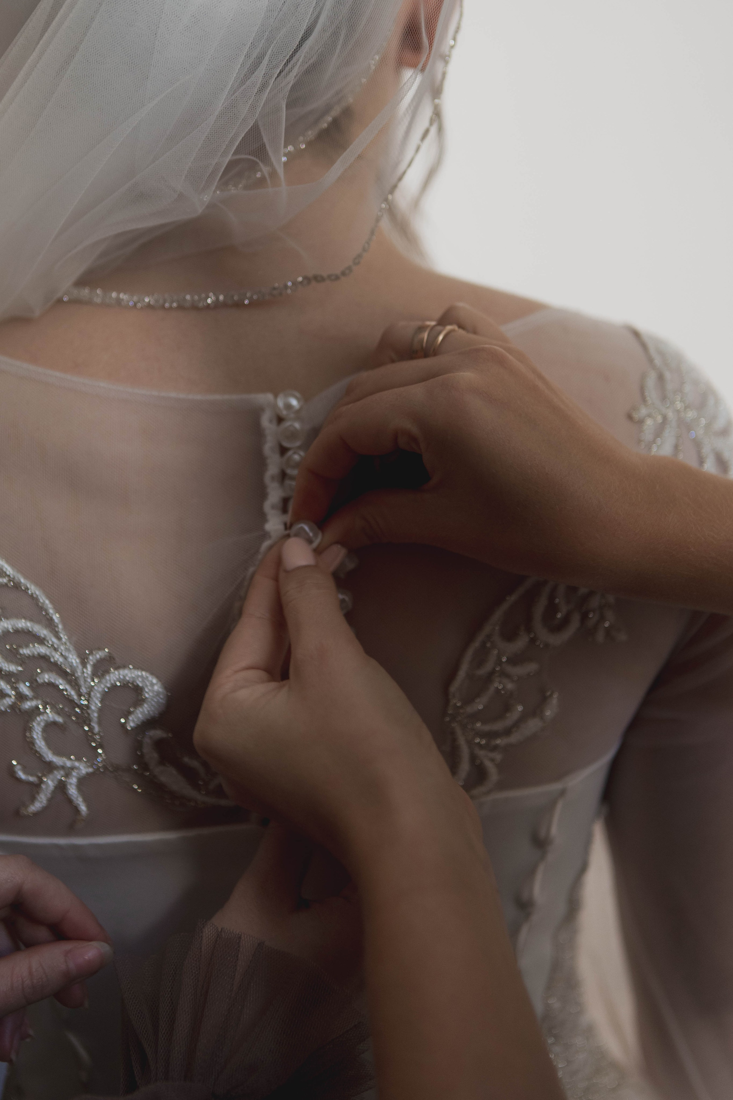 Дмитрий & Елизавета