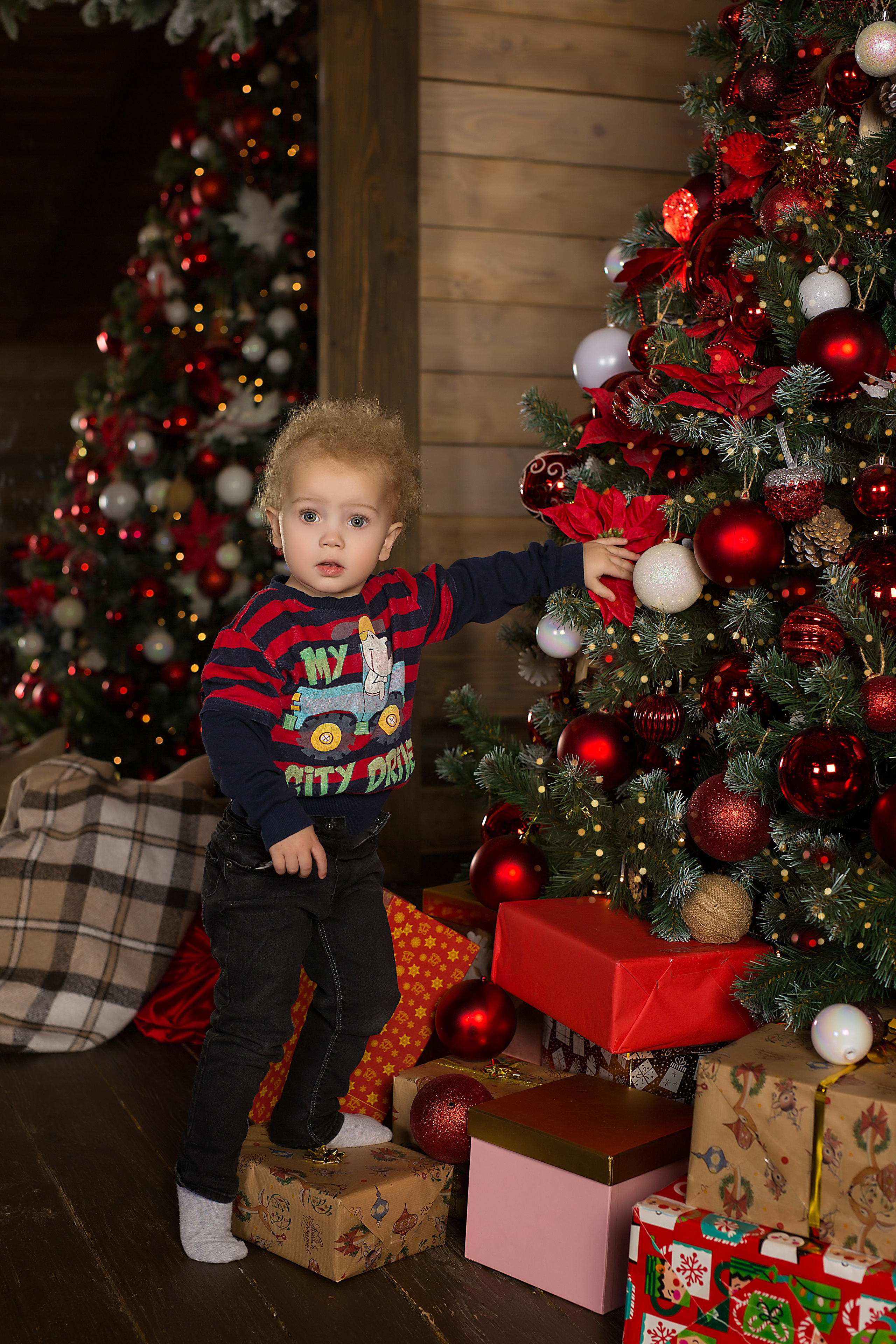 Новогодние фотосессии. Семейный и свадебный фотограф в Санкт-Петербурге Татьяна Швыкова