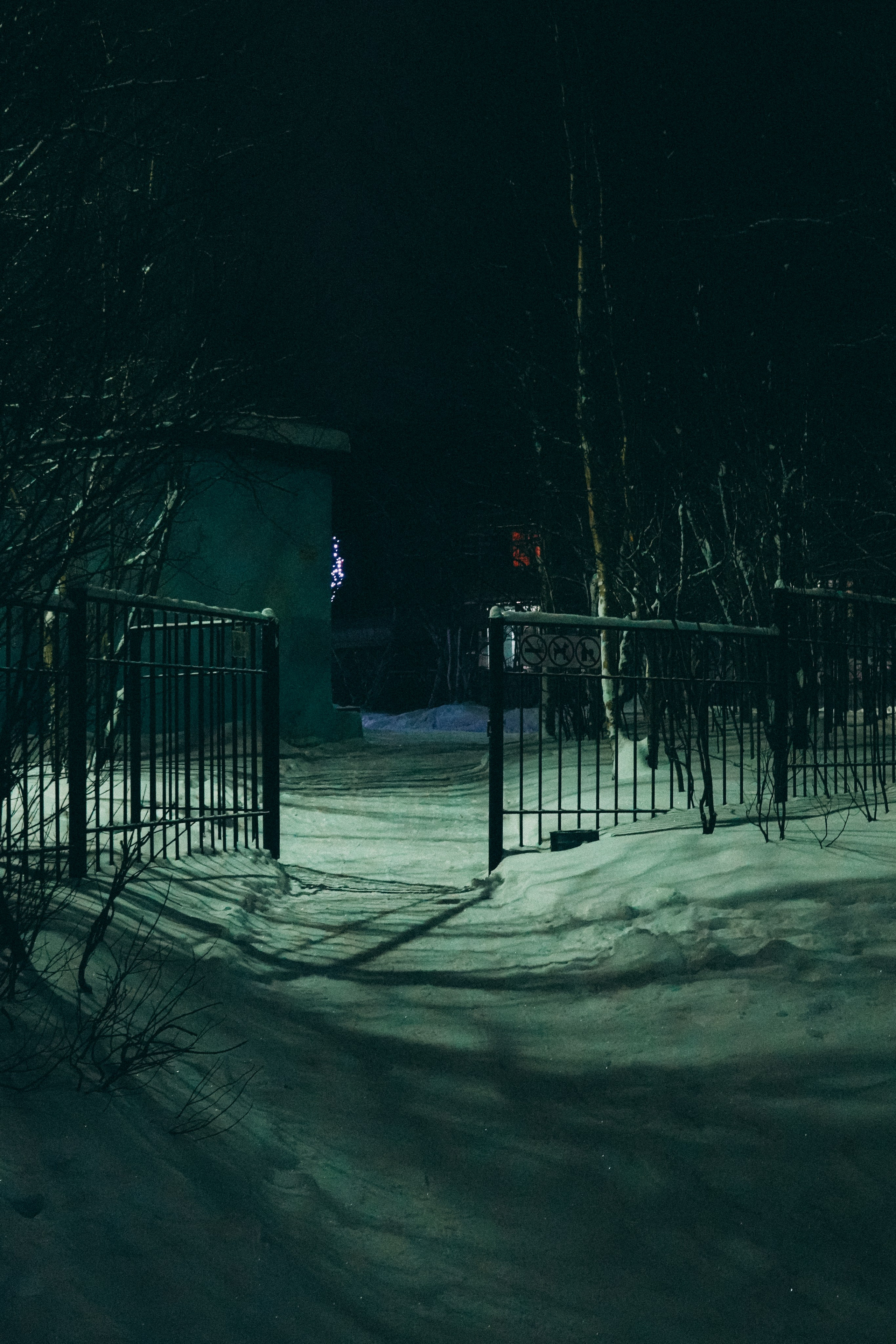 Зимняя ночь. Фотограф Алиса Аспер