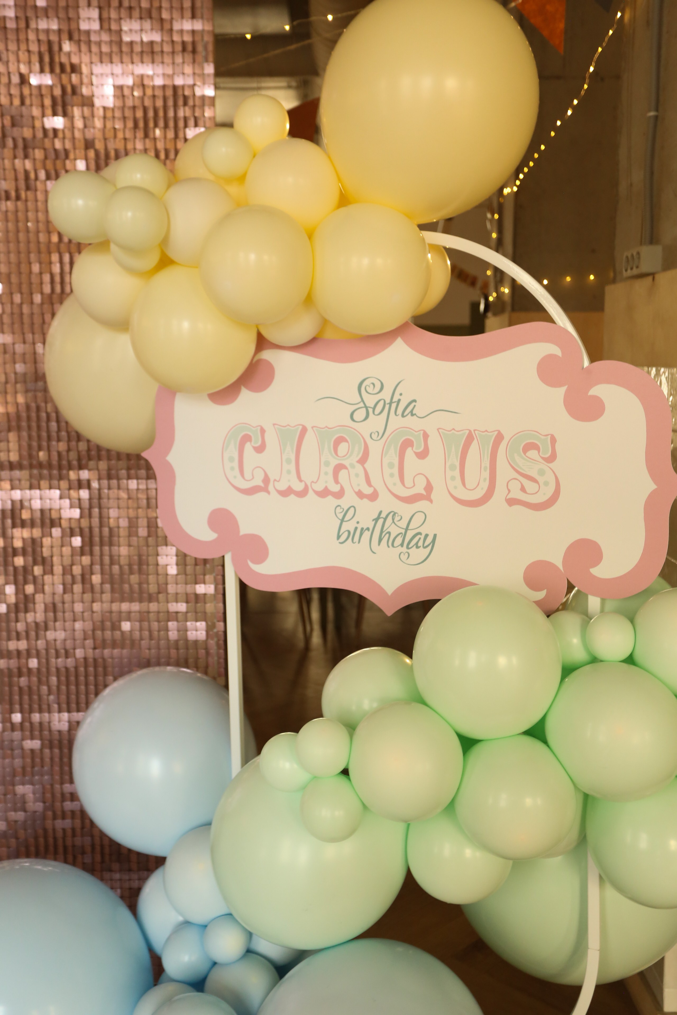 День рождения Софии! Kids play. Детский фотограф, Волгоград