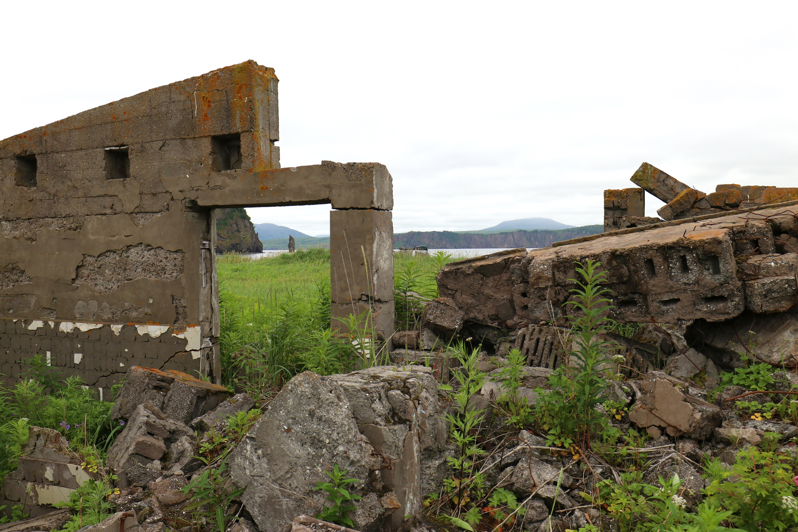Камчатка и о. Парамушир. Июль 2024. Путешественник-фотограф из Санкт-Петербурга Татьяна Свистулина