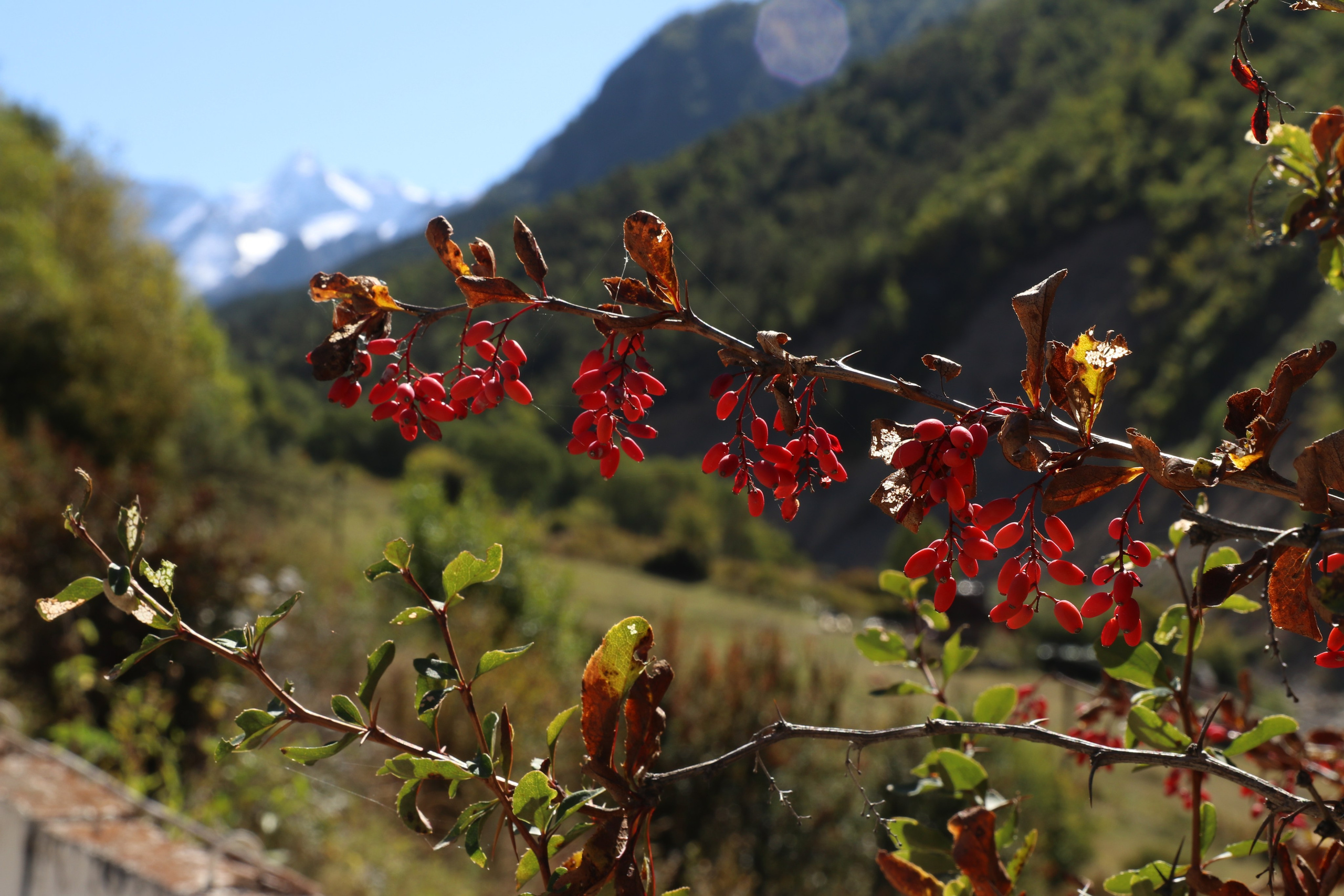 Приэльбрусье. Сентябрь 2023. Путешественник-фотограф из Санкт-Петербурга Татьяна Свистулина
