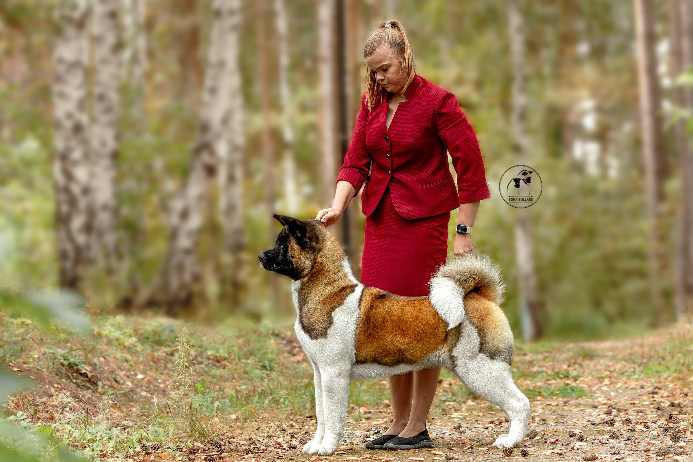 30 августа 2025, Выставка РКФ, г. Челябинск. Htykk_photo