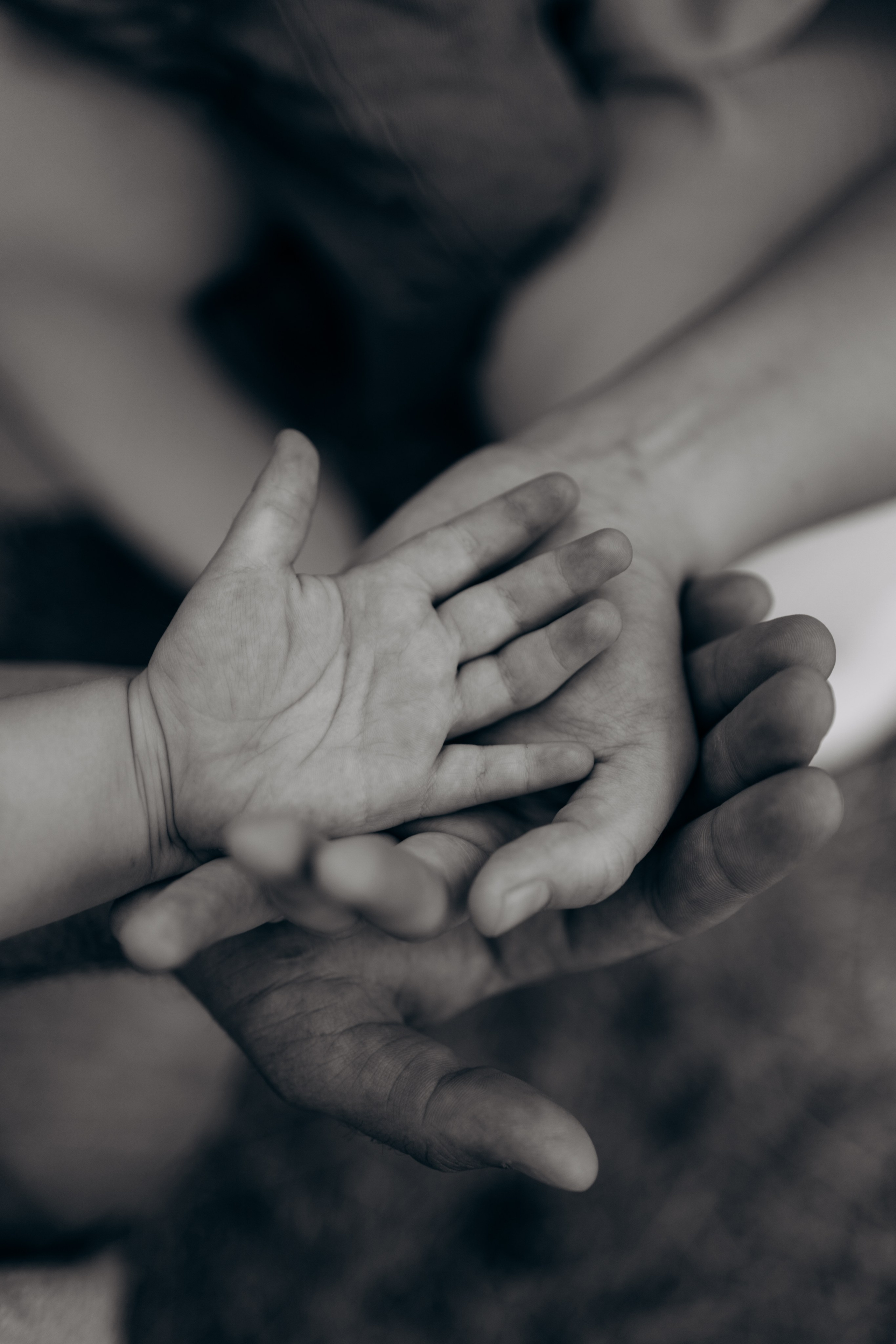 Катя, Женя, Алиса и Сава. Майорова Валерия Фотограф Ставрополь