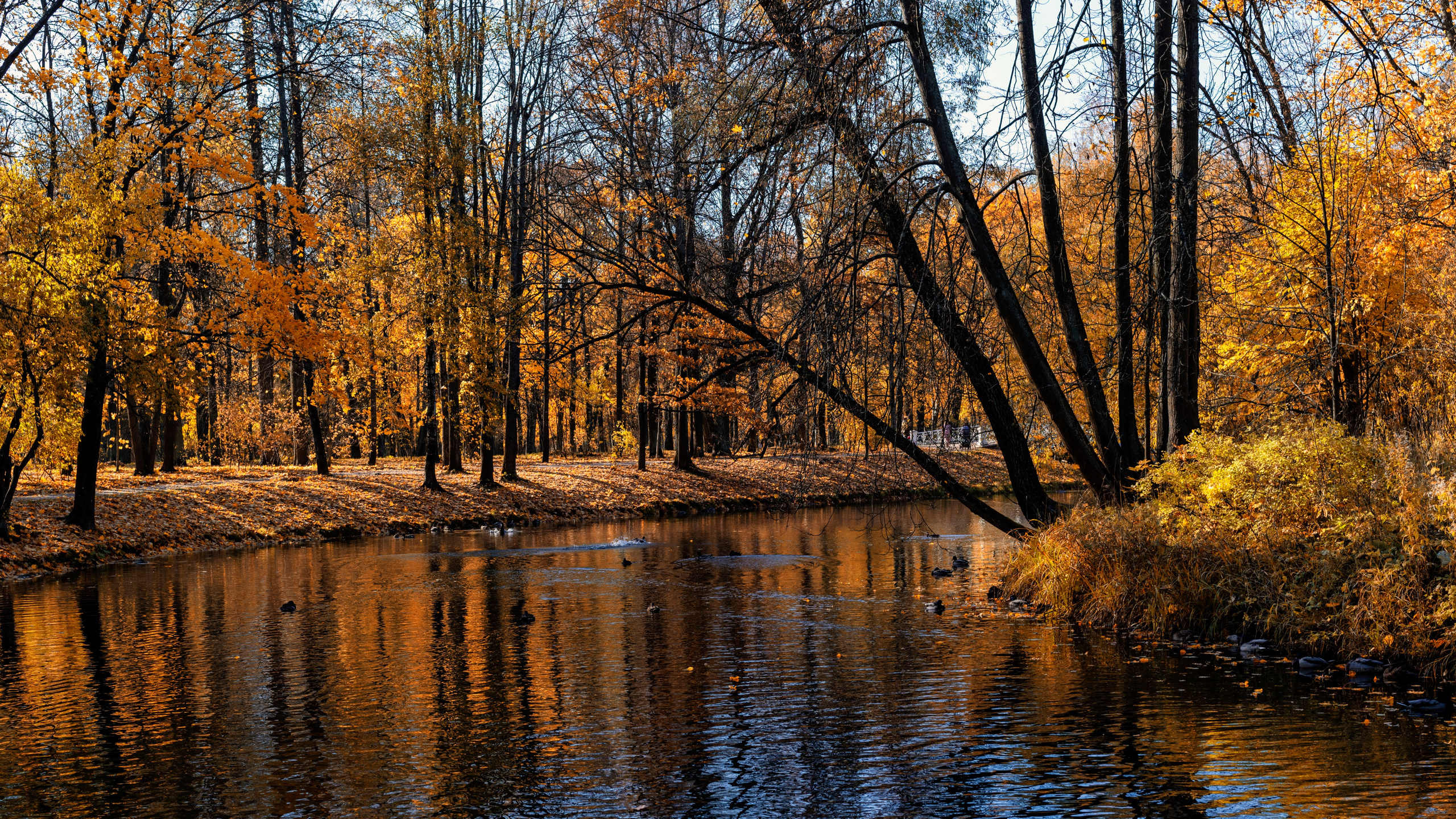 Царское село. Пейзажный и семейный фотограф в Санкт-Петербурге Александр Белов