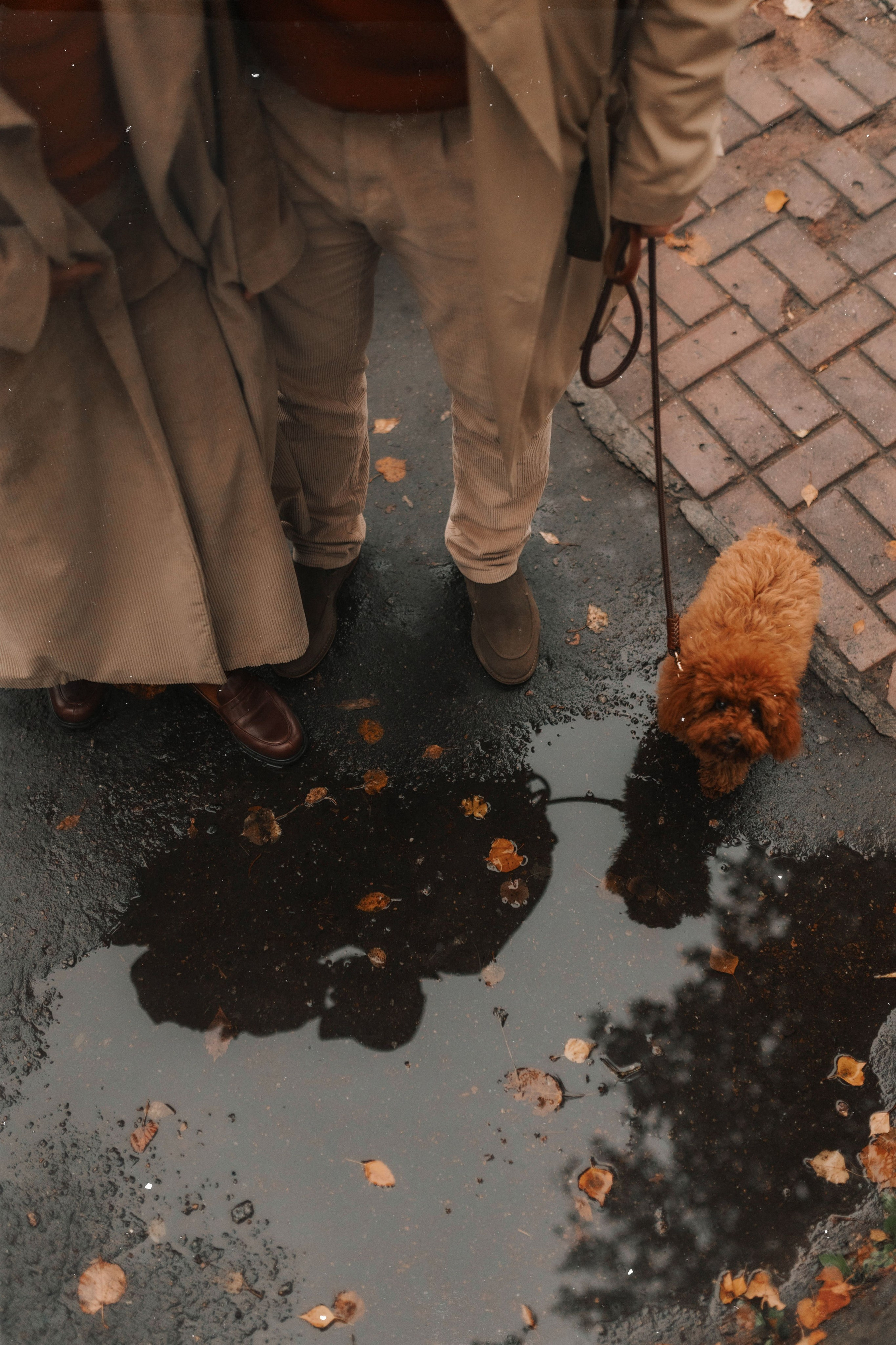 Кристина/Артем. Фотограф в Москве Татьяна Сергеева