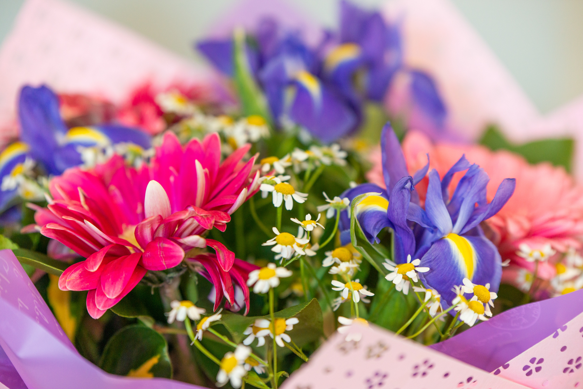 Детский день рождения. ИК «Единорожка». Ольга Ли свадебный семейный фотограф Иркутск