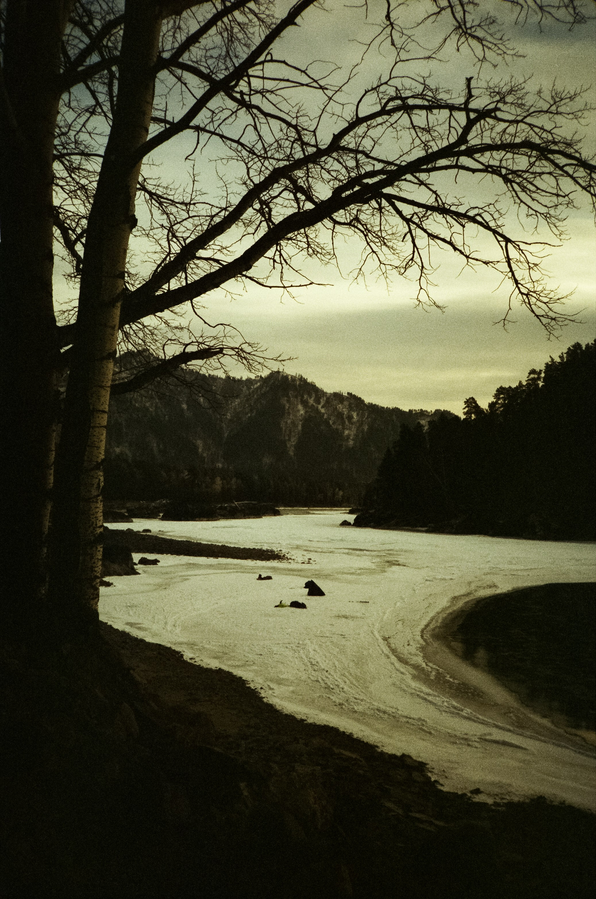 Дорога в сторону Сада Пионов, база Сила Алтая / 15 — 16 декабря 2023 г