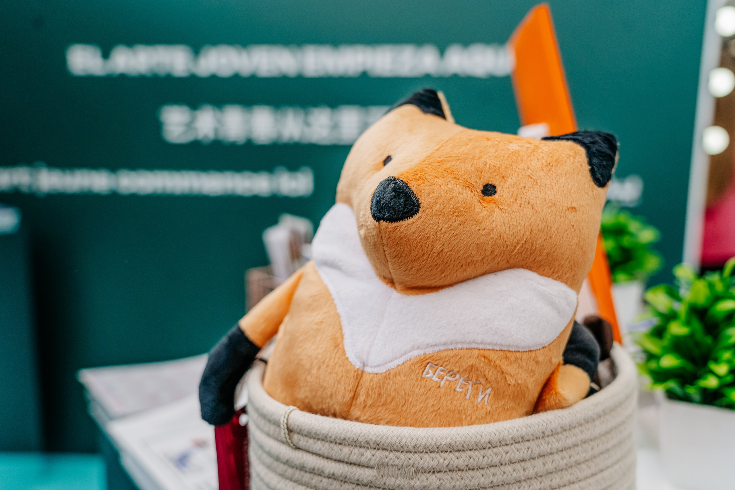 Всемирный фестиваль молодежи. Репортажный фотограф в Крыму Ксения Гасица