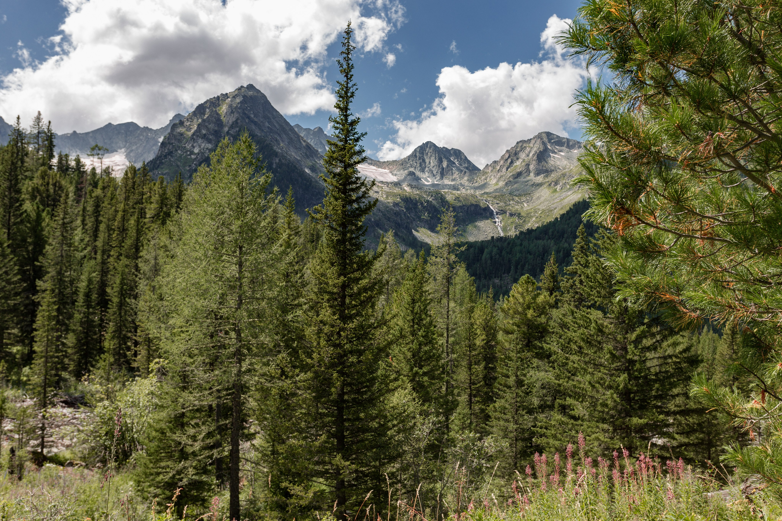 Катунский заповедник, Республика Алтай. Репортажный фотограф в Крыму Ксения Гасица