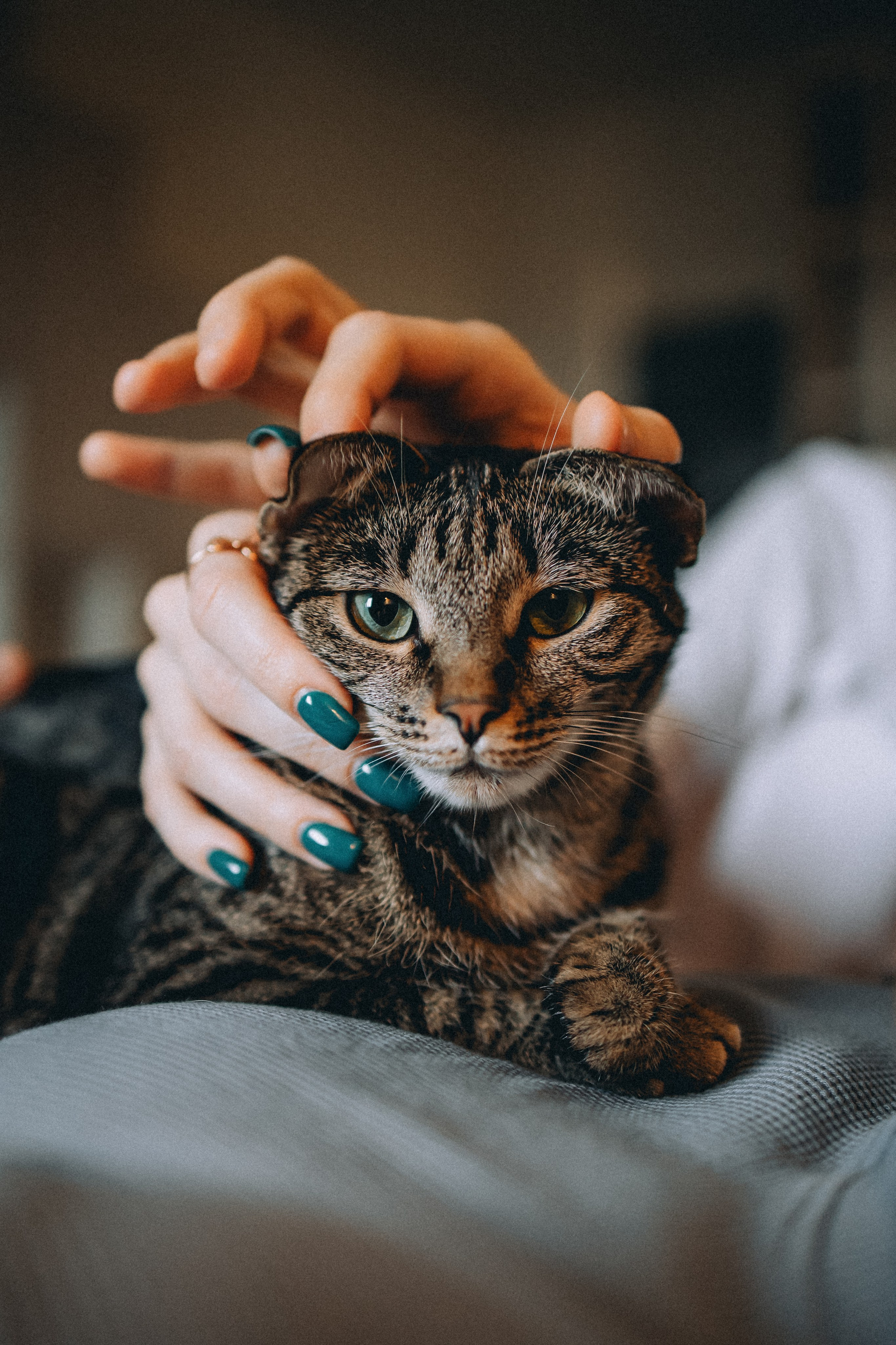 Рыся, Кепа и их семья