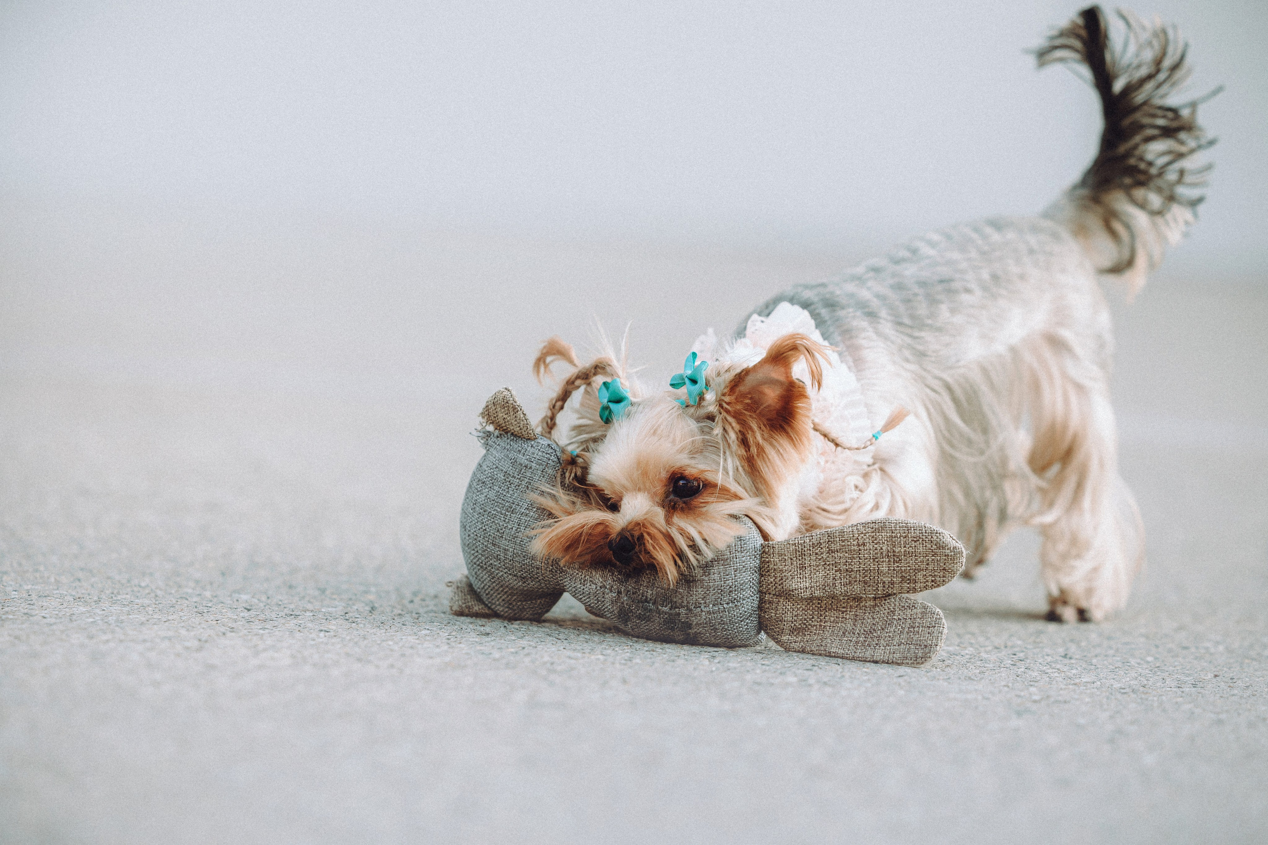 Дженни, Оливия и их семья