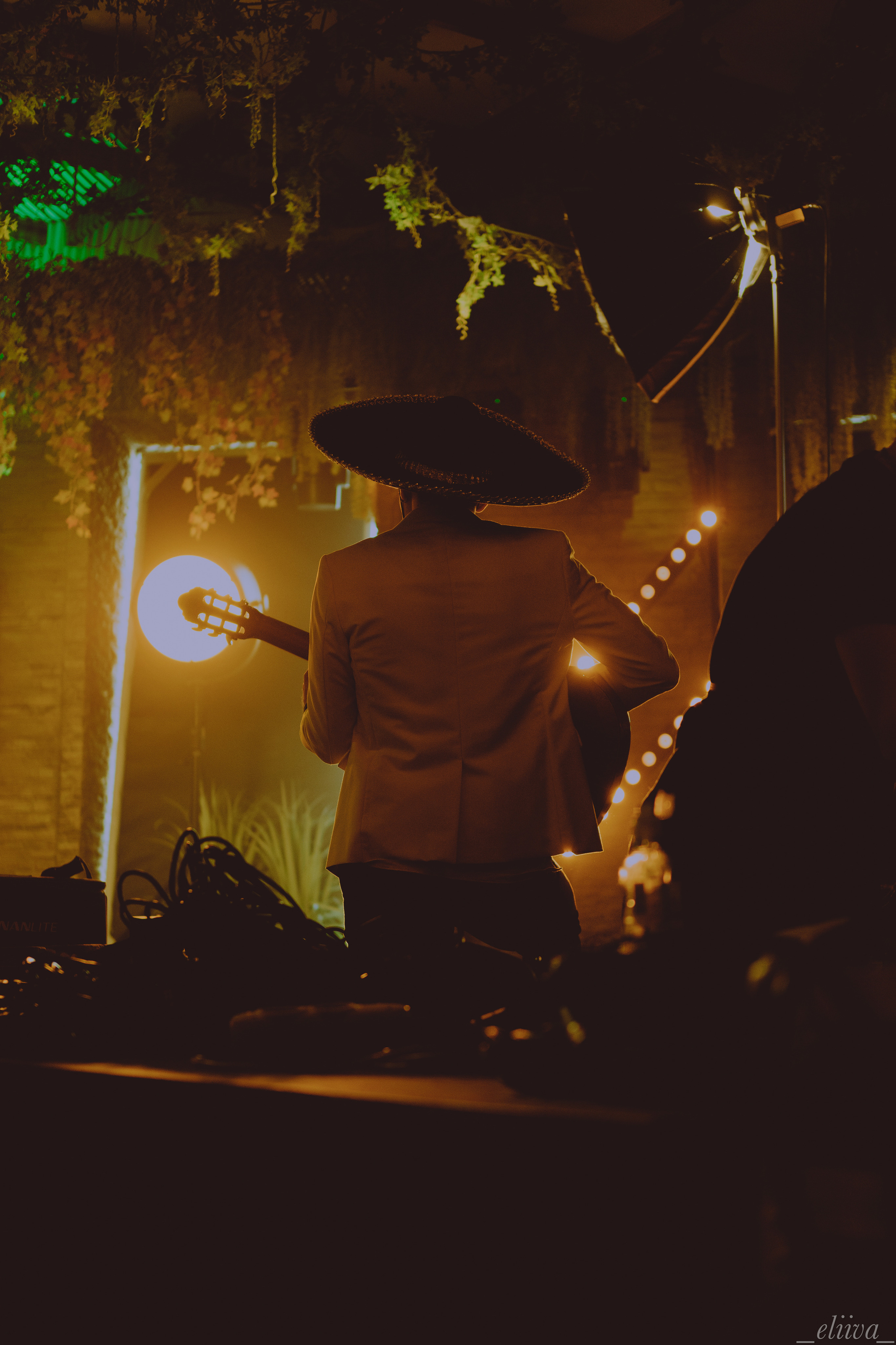 Дунаевский orchestra. Концертный фотограф в Санкт-Петербурге