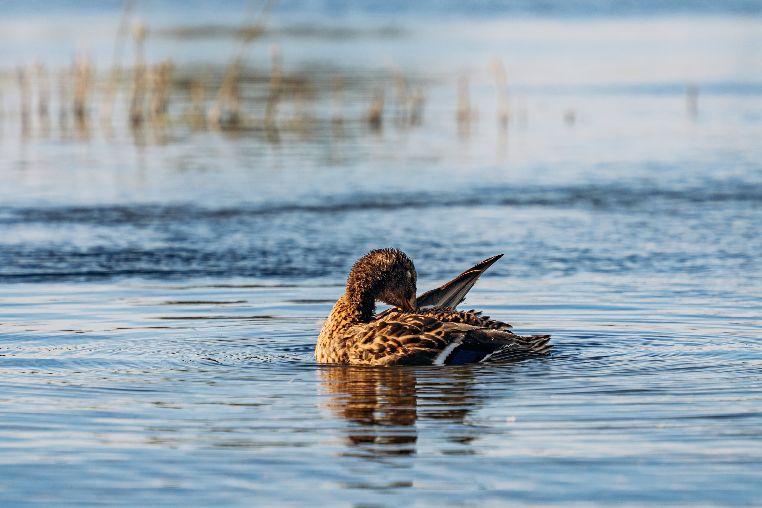 СЕВЕР. Event фотограф Степанова Александра