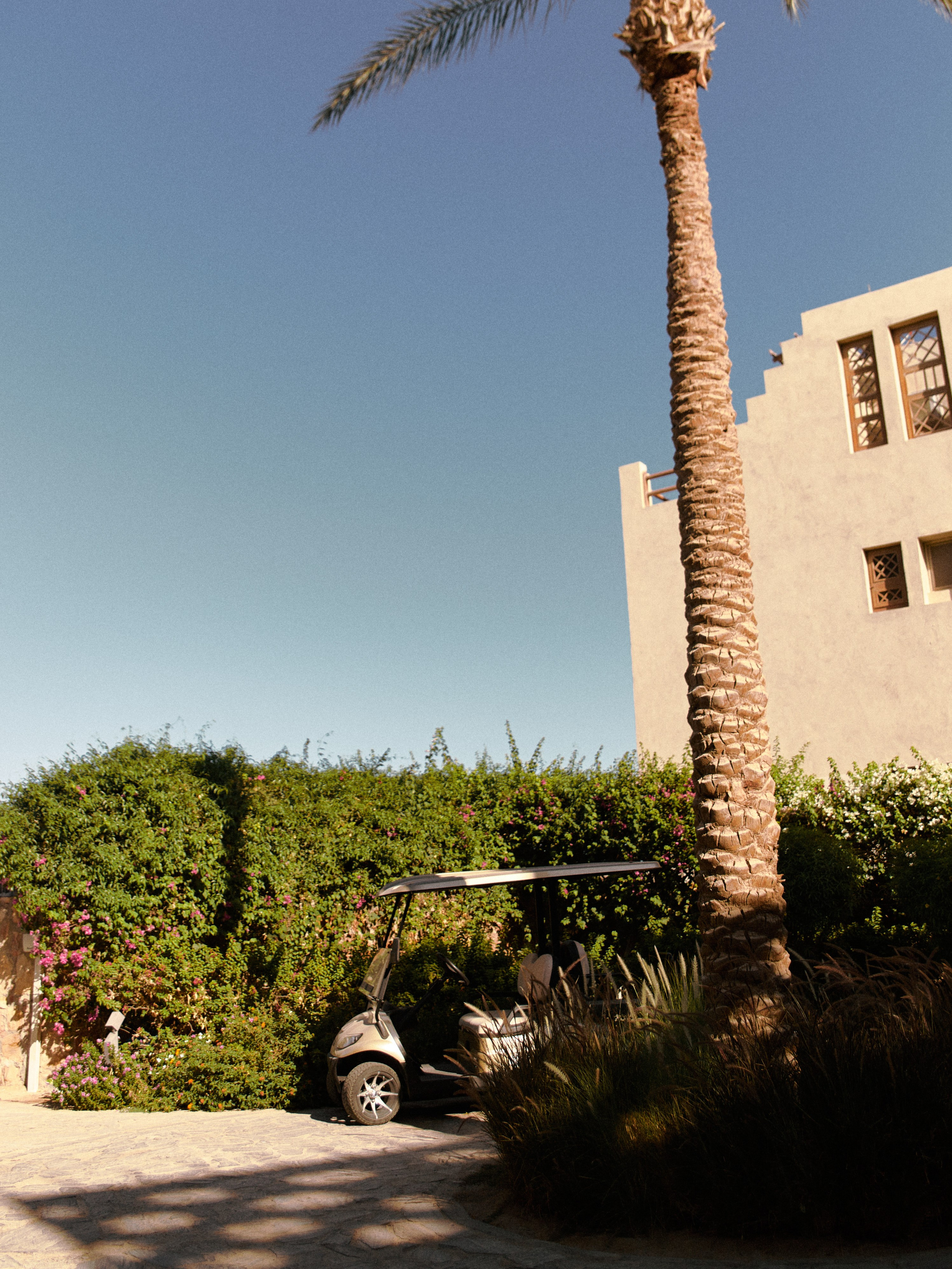 Улицы. Jorgis Talè — photographer, kind person, teacher of arts and other mag