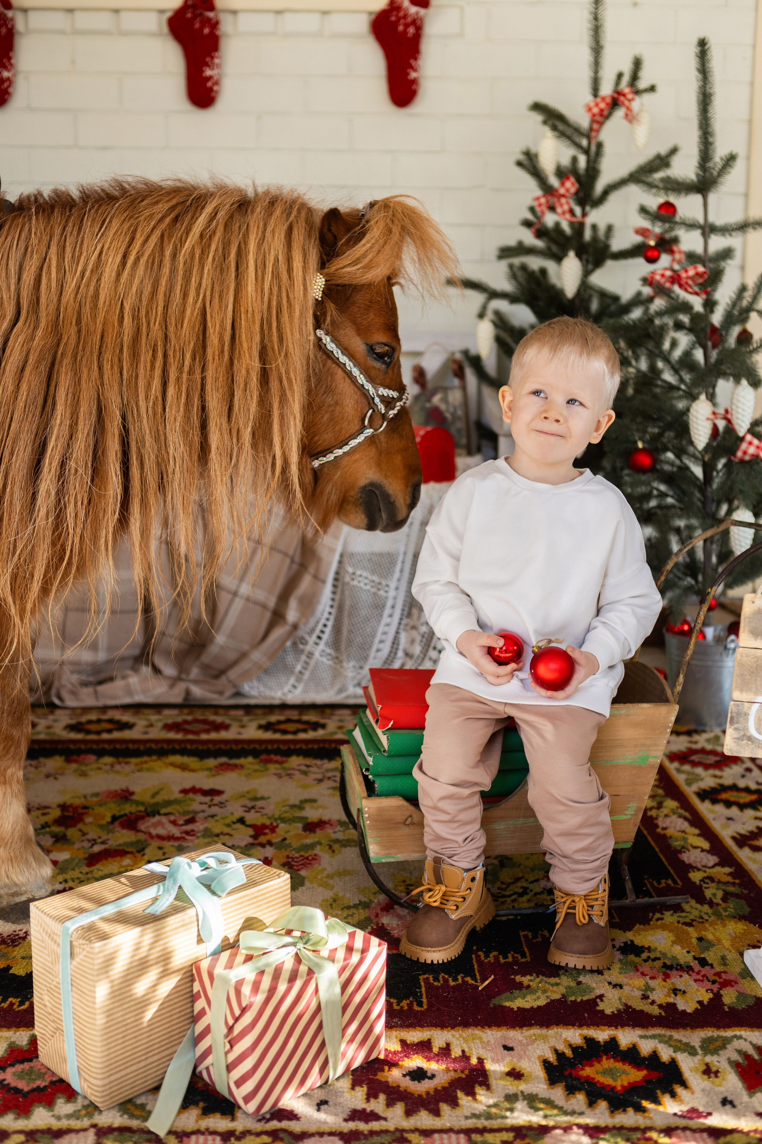 Символ 2026 года «Пони-Бонус». Фотостудия Ольги Сурухановой. Свадебный семейный и детский фотограф в Краснодаре Карина Федоровская