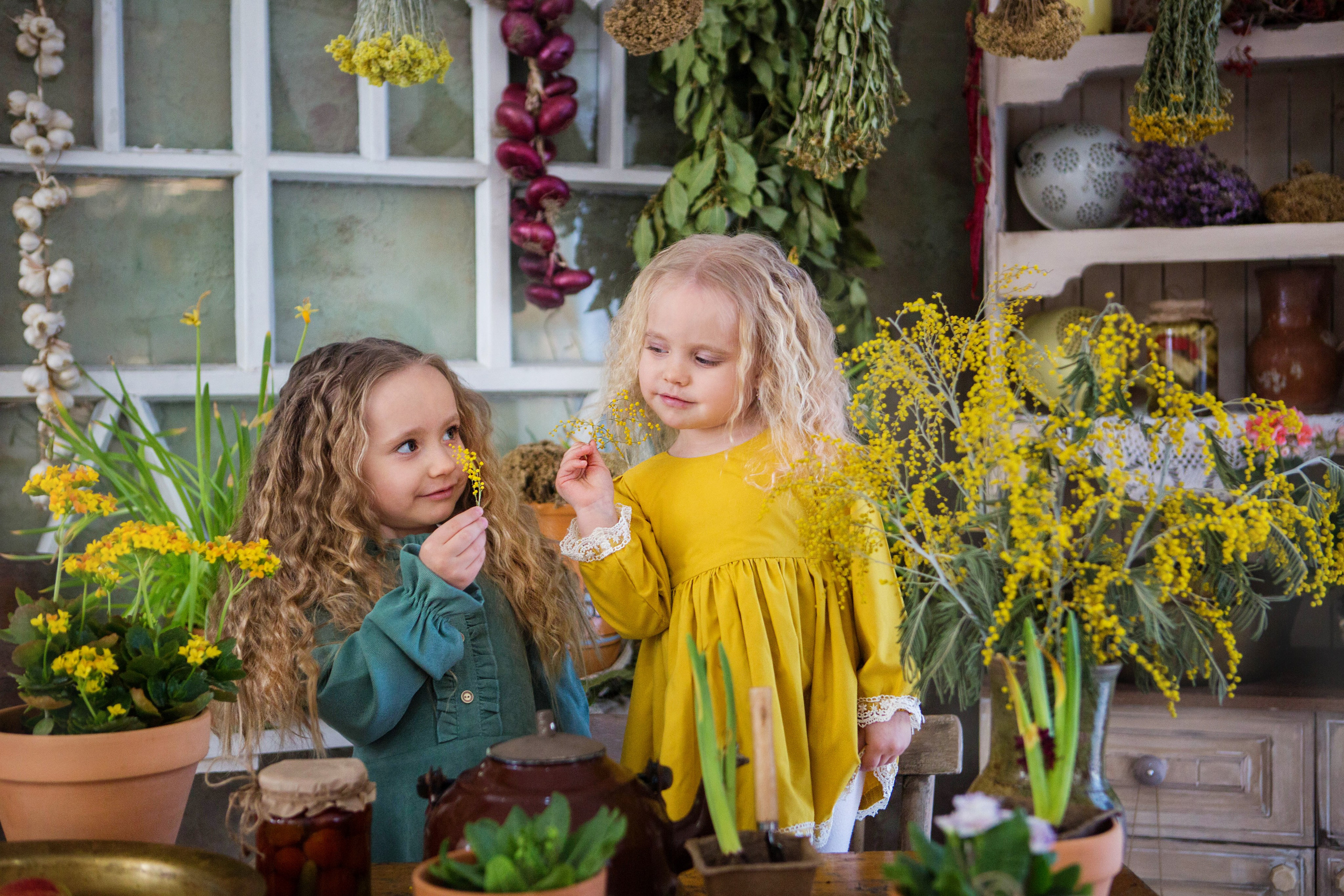 «Мимоза». студия «Авторская». Свадебный семейный и детский фотограф в Краснодаре Карина Федоровская