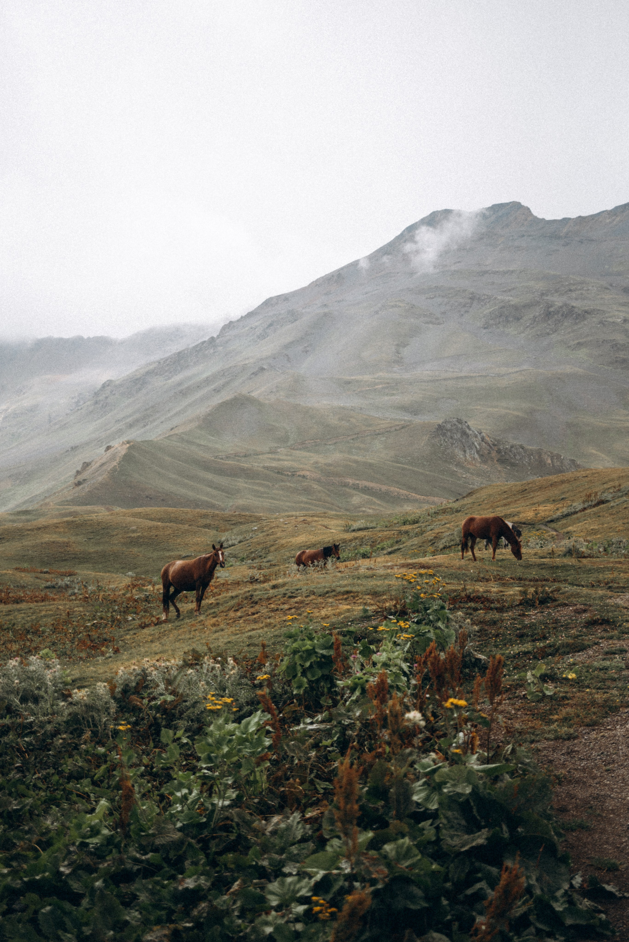 Сванетия, Грузия 🇬🇪. Anita_photo
