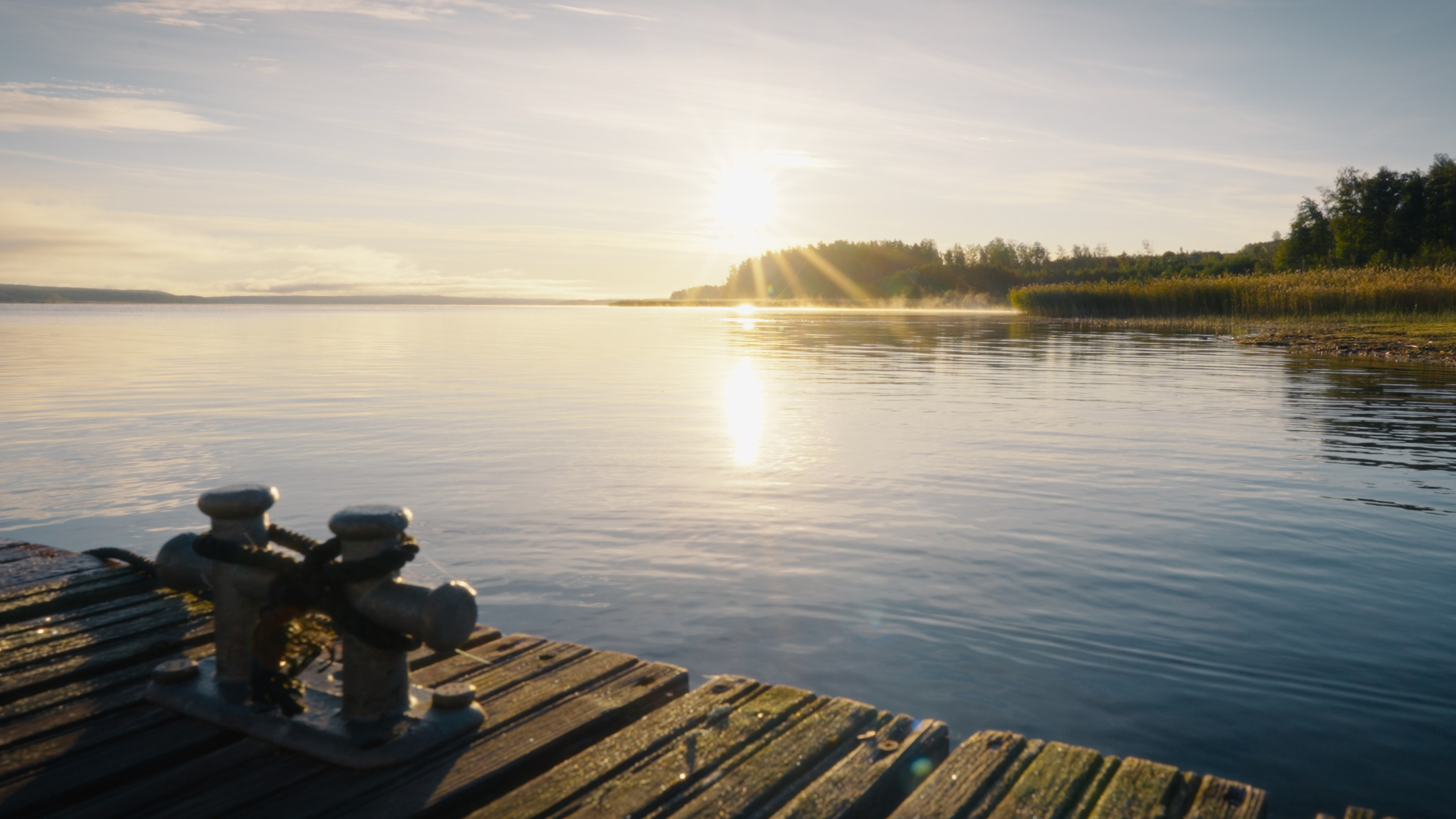 Тихолесье — Ваш дом и уют (promo). Цветокоррекция видео онлайн Иван Сержанов