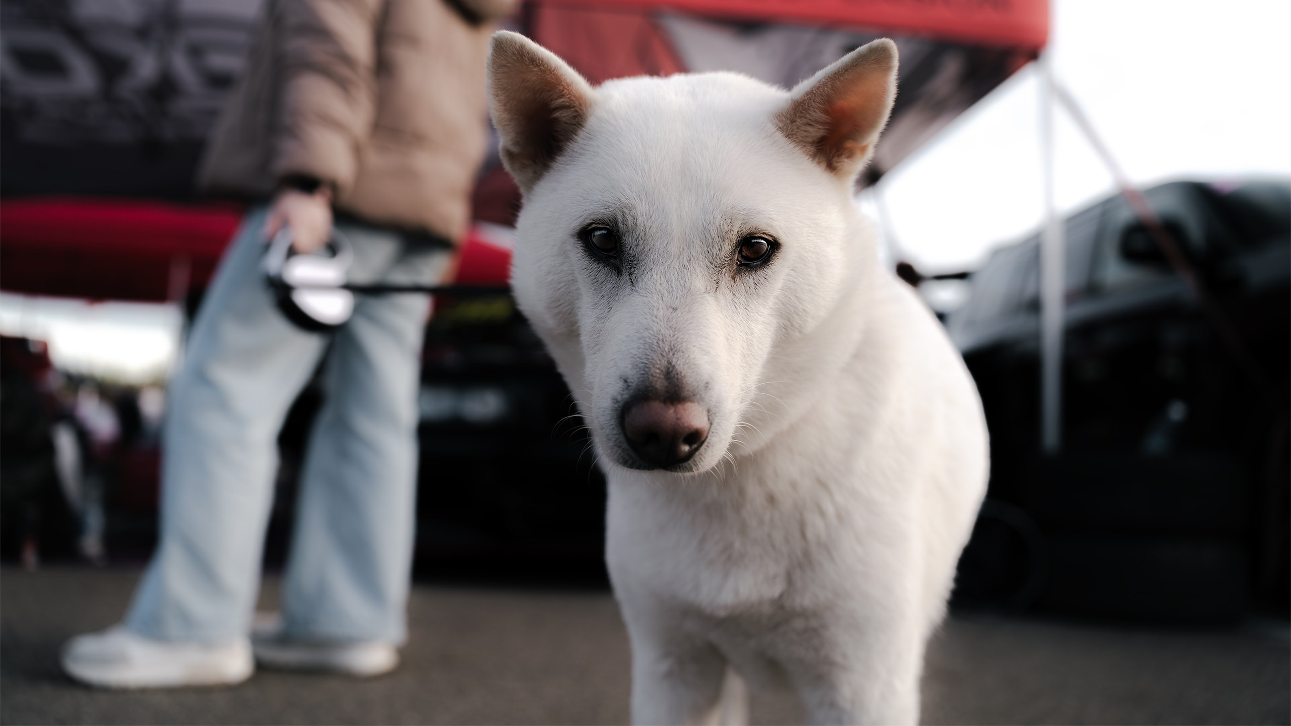//DRIFT_YUG / MATSURI2025. Автомобильный фотограф