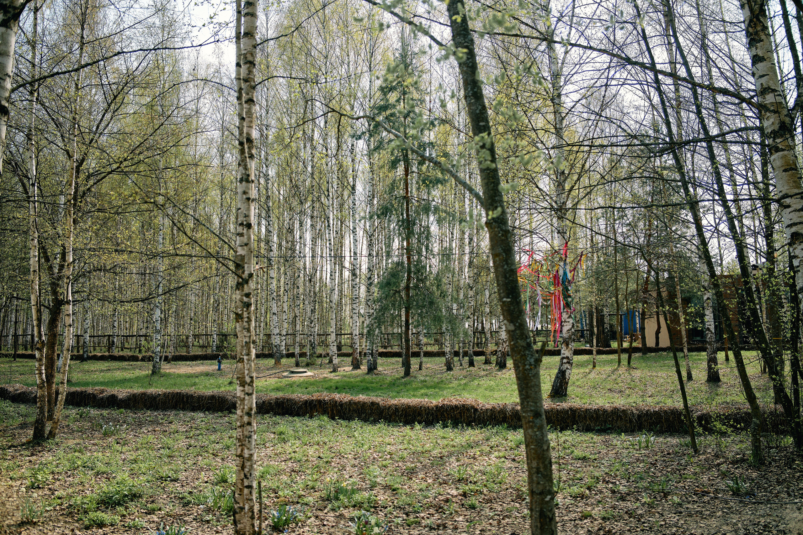 Бутик-отель Поле летом. Профессиональный Фотограф во Владимире, в Москве и в Суздале — Полина Романычева