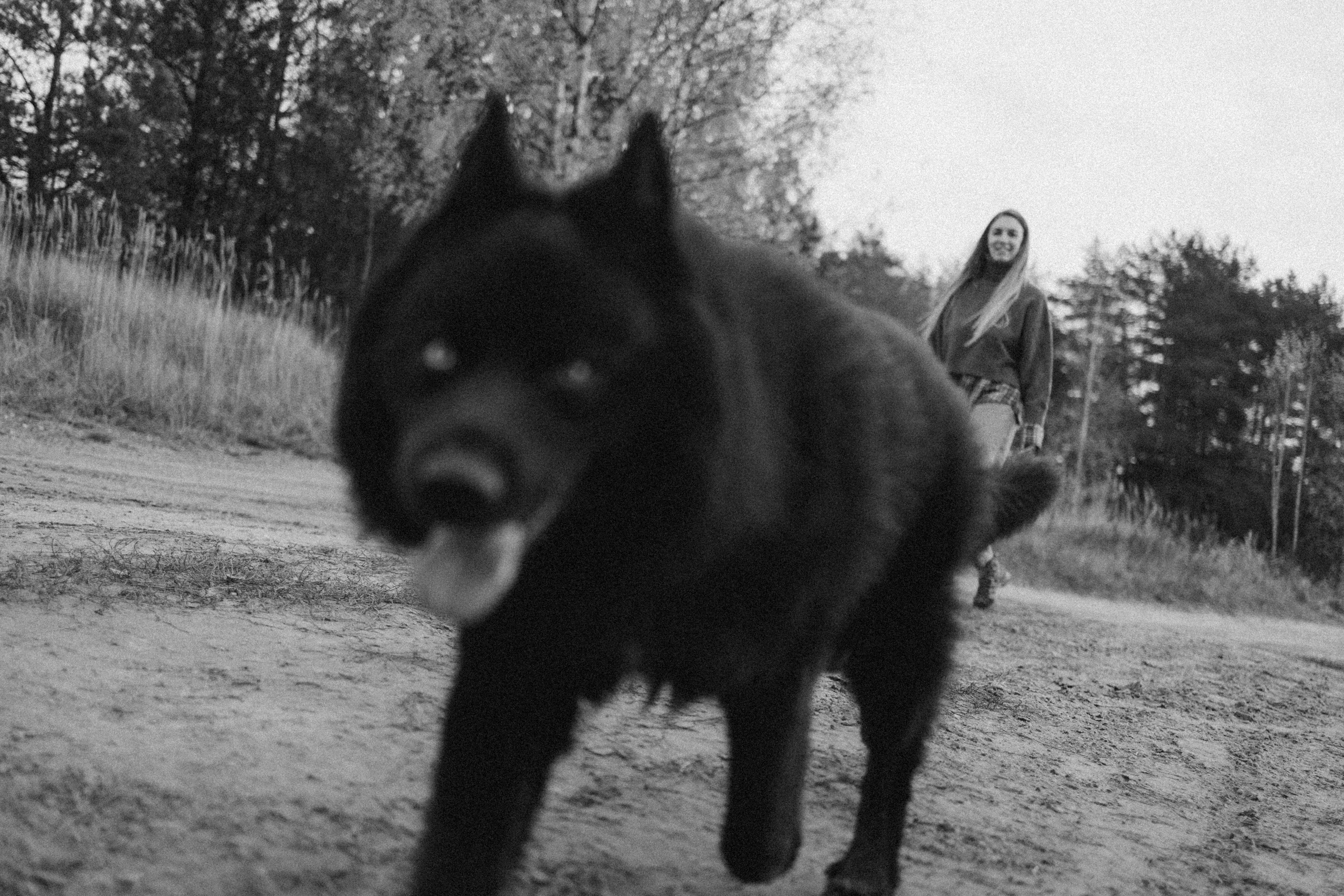 Лора и Джанго. Фотограф — Анималист | Санкт-Петербург