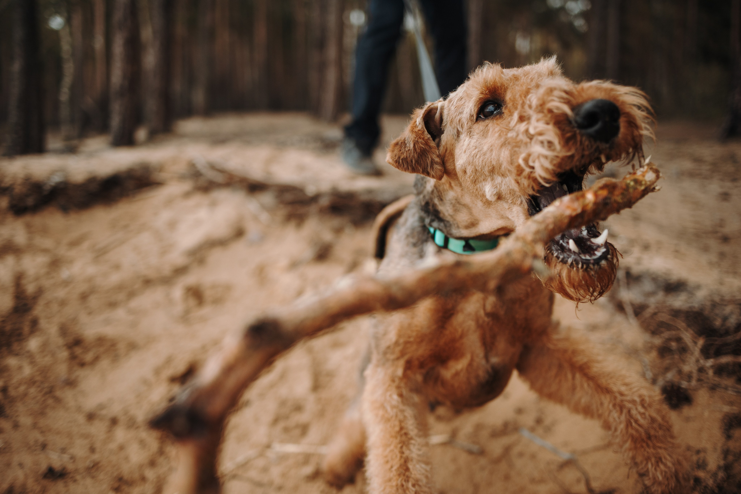 Вера и ее семья. Фотограф — Анималист | Санкт-Петербург