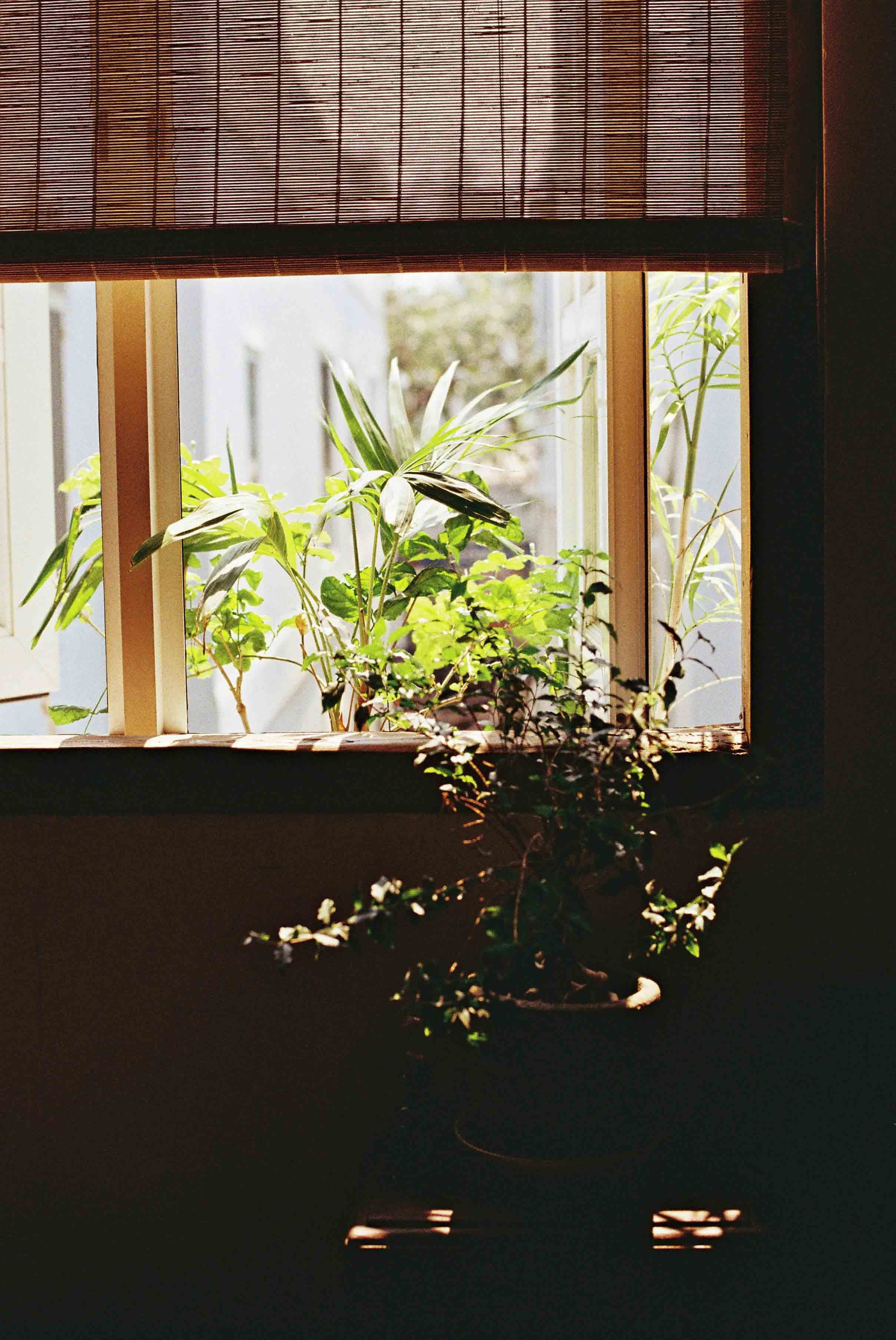 Film Photographer in Da Nang, Vietnam — Tanya Parfenteva