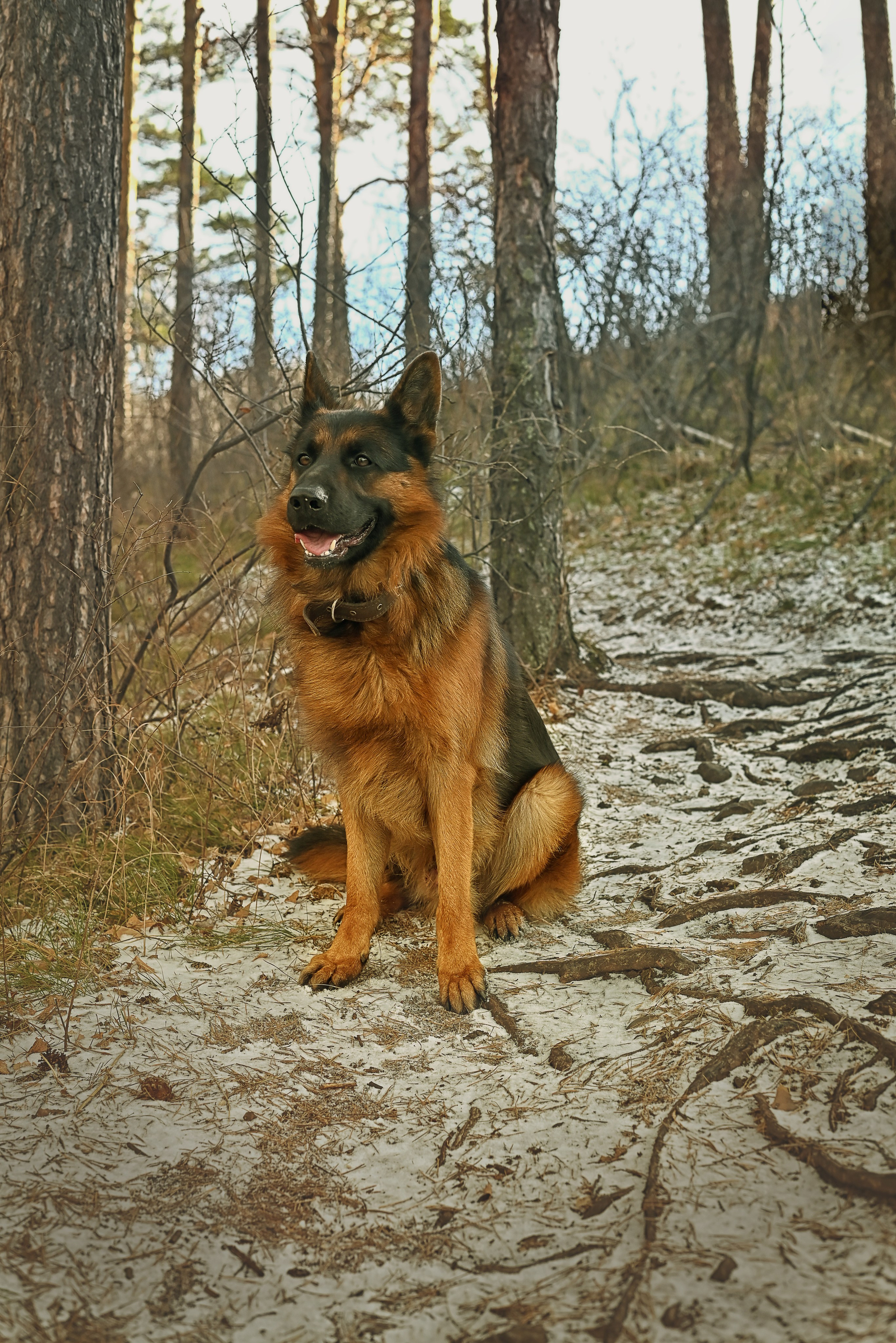 Ирина и Кантик. Фотографы крещения/венчания  Красноярск Татьяна и Вячеслав Переваловы