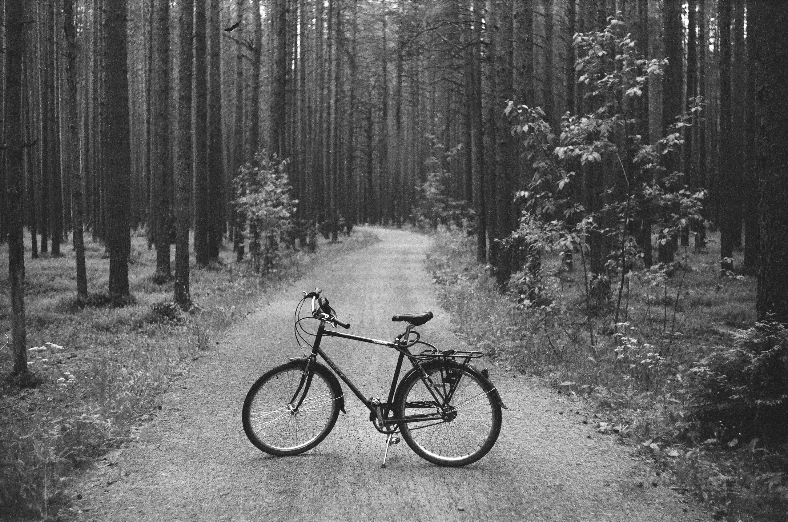 Натура. Фотограф — Маслеников Константин