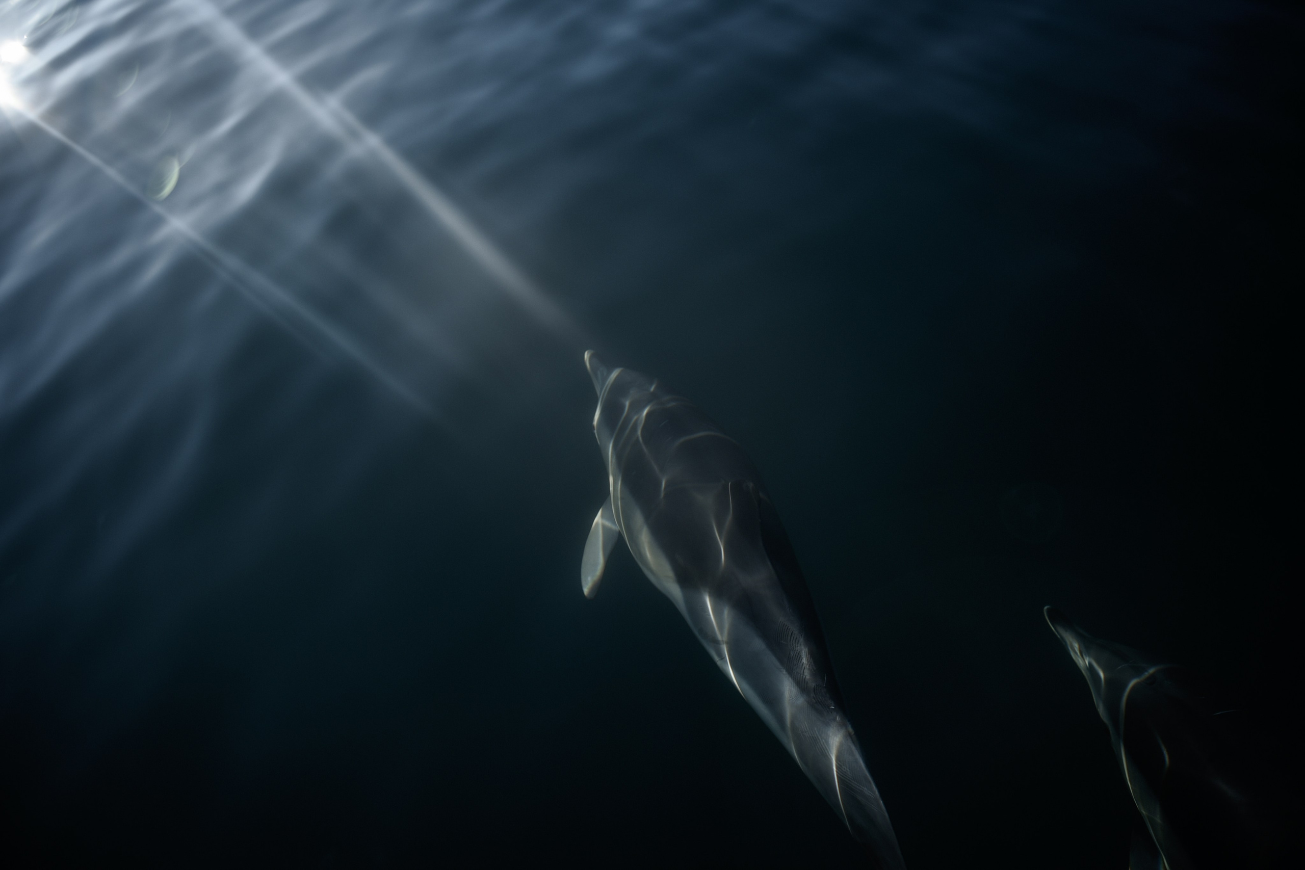 Wild and free. Anastasia Serdyuk, travel photographer, travel photo, portraits, stories, fineart prints